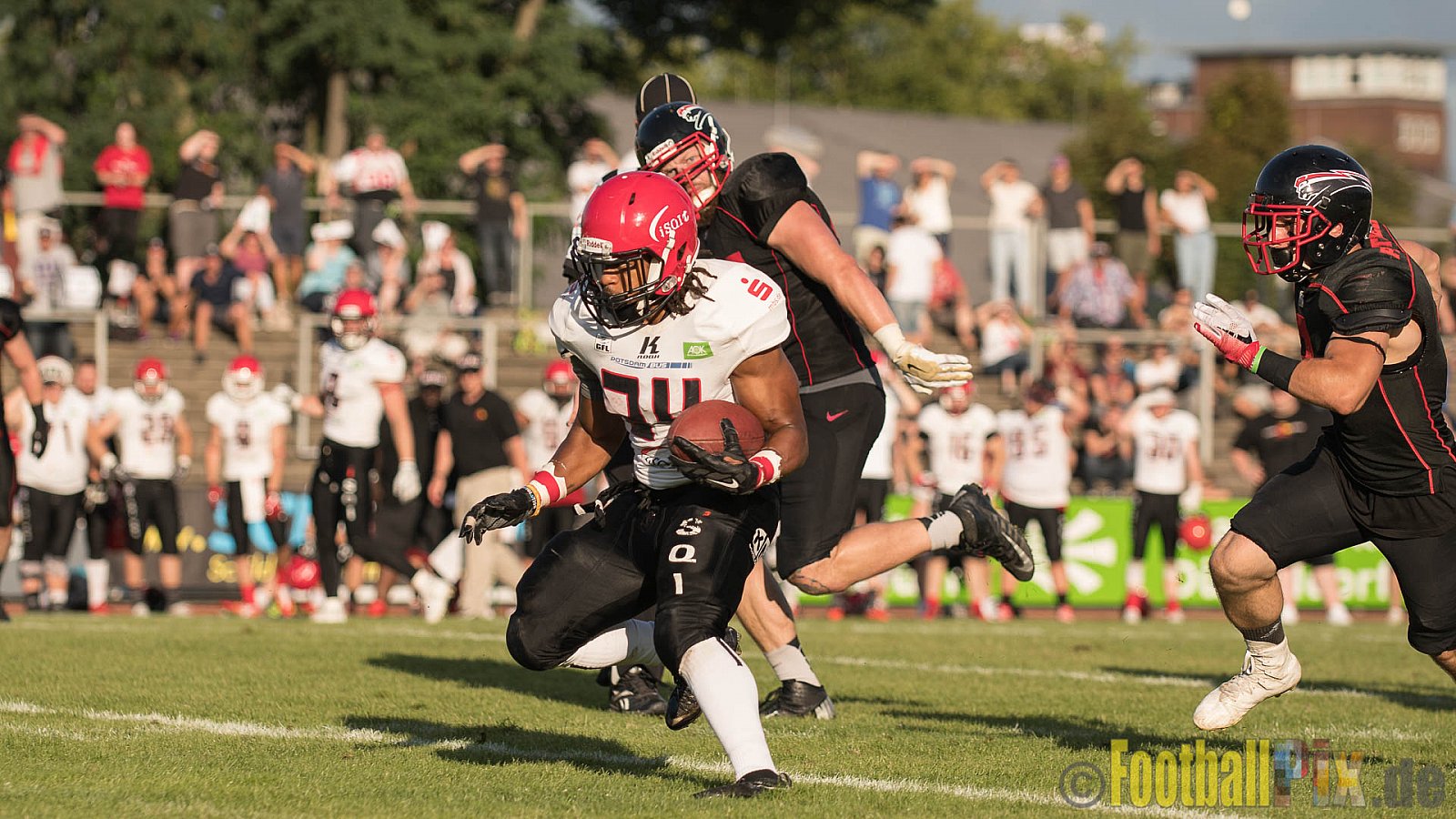 Düsseldorf Panther vs. Potsdam Royals - 29.07.2017 GFL2: Düsseldorf Panther vs. Potsdam Royals (7:30)