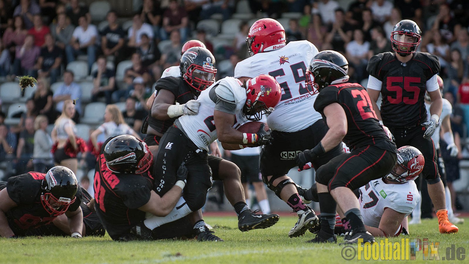 Düsseldorf Panther vs. Potsdam Royals - 29.07.2017 GFL2: Düsseldorf Panther vs. Potsdam Royals (7:30)