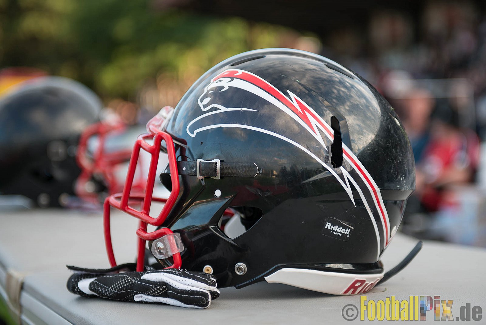 Düsseldorf Panther vs. Potsdam Royals - 29.07.2017 GFL2: Düsseldorf Panther vs. Potsdam Royals (7:30)