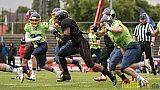 Düsseldorf Panther vs. Essen Assindia Cardinals - 05.08.2017 GFL2: Düsseldorf Panther vs. Essen Assindia Cardinals (47:7) 