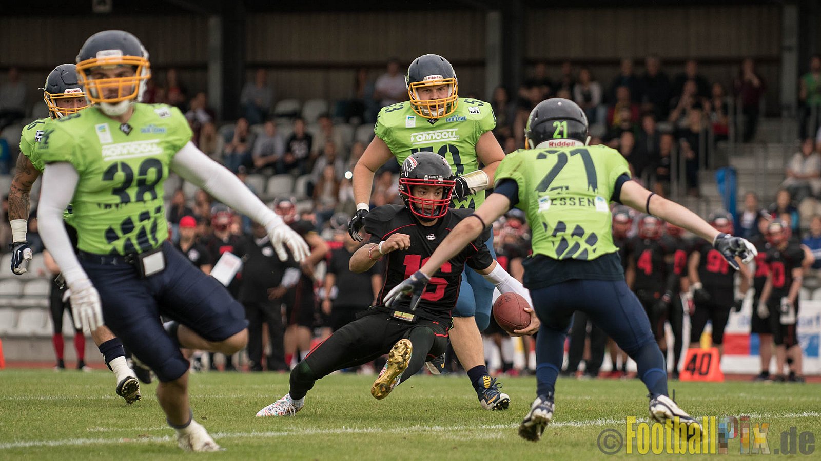 Düsseldorf Panther vs. Essen Assindia Cardinals - 05.08.2017 GFL2: Düsseldorf Panther vs. Essen Assindia Cardinals (47:7) 