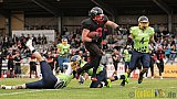 Düsseldorf Panther vs. Essen Assindia Cardinals - 05.08.2017 GFL2: Düsseldorf Panther vs. Essen Assindia Cardinals (47:7) 