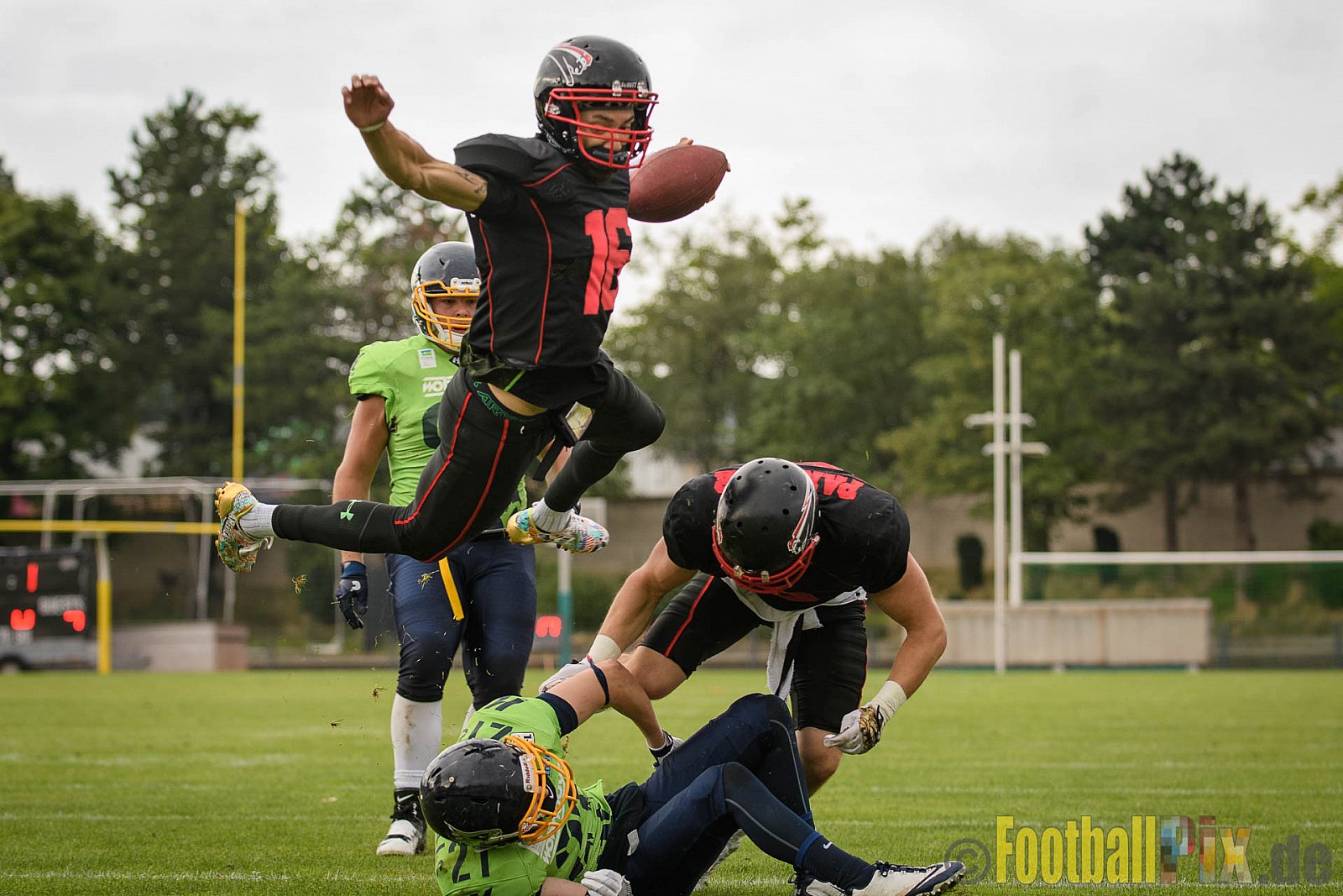 Düsseldorf Panther vs. Essen Assindia Cardinals - 05.08.2017 GFL2: Düsseldorf Panther vs. Essen Assindia Cardinals (47:7) 
