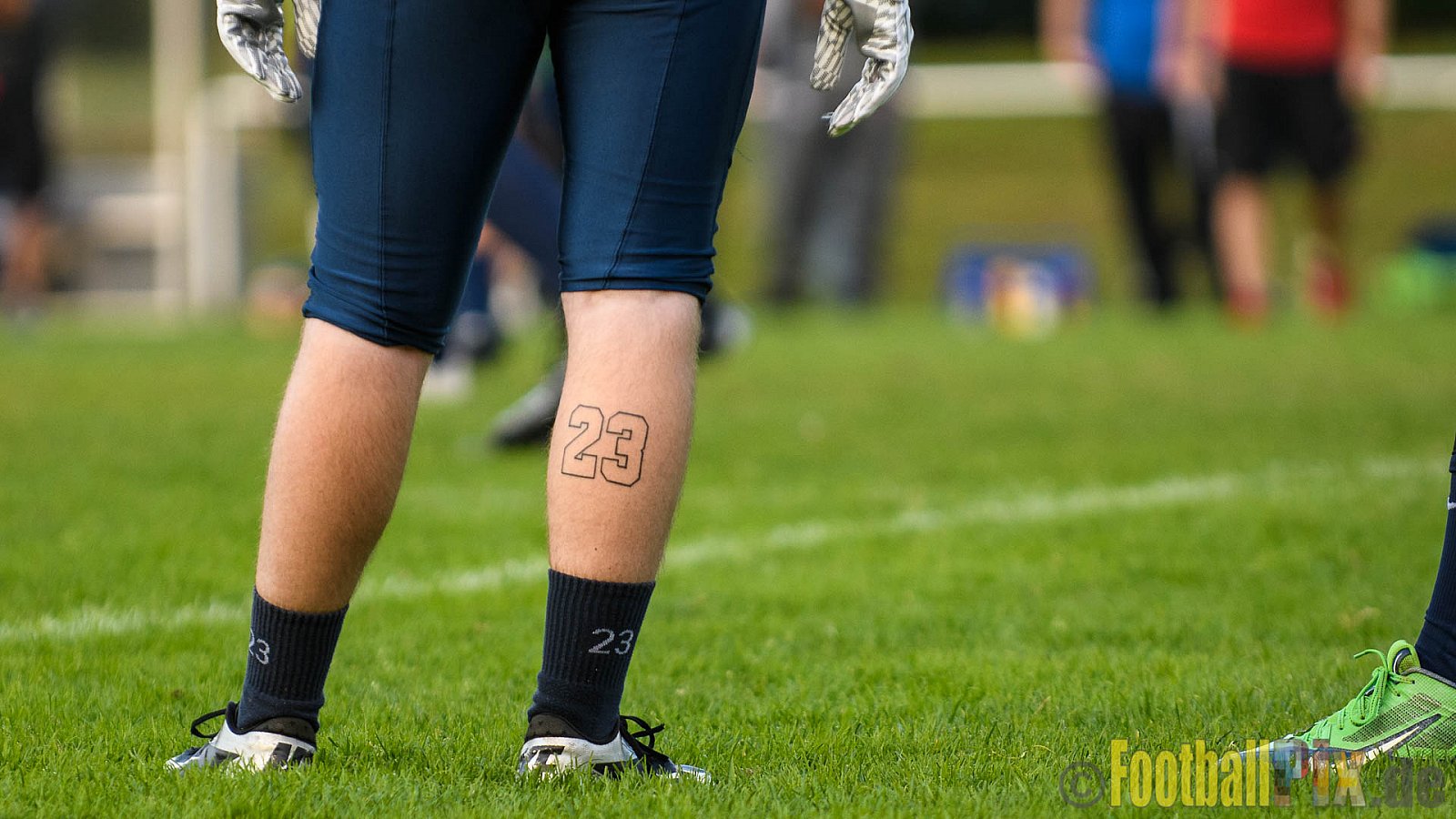 Langenfeld Longhorns vs. Essen Assindia Cardinals - 03.09.2017 GFL2: Langenfeld Longhorns vs. Essen Assindia Cardinals (45:30)