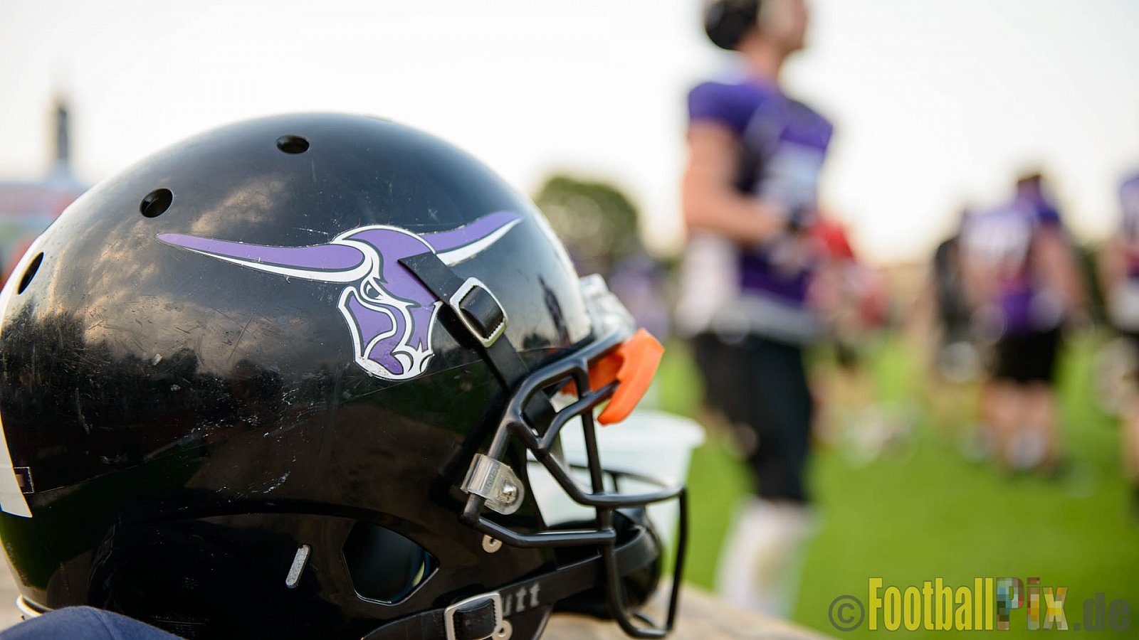 Langenfeld Longhorns vs. Essen Assindia Cardinals - 03.09.2017 GFL2: Langenfeld Longhorns vs. Essen Assindia Cardinals (45:30)