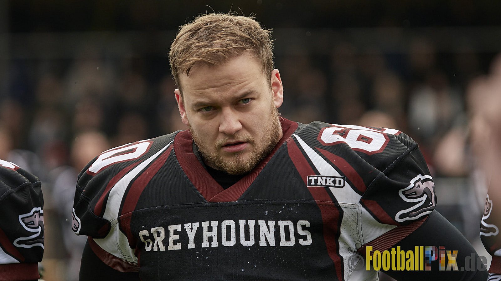 Wuppertal Greyhounds vs. Recklinghausen Chargers - 31.10.2017 VL NRW: Wuppertal Greyhounds vs. Recklinghausen Chargers (8:10)