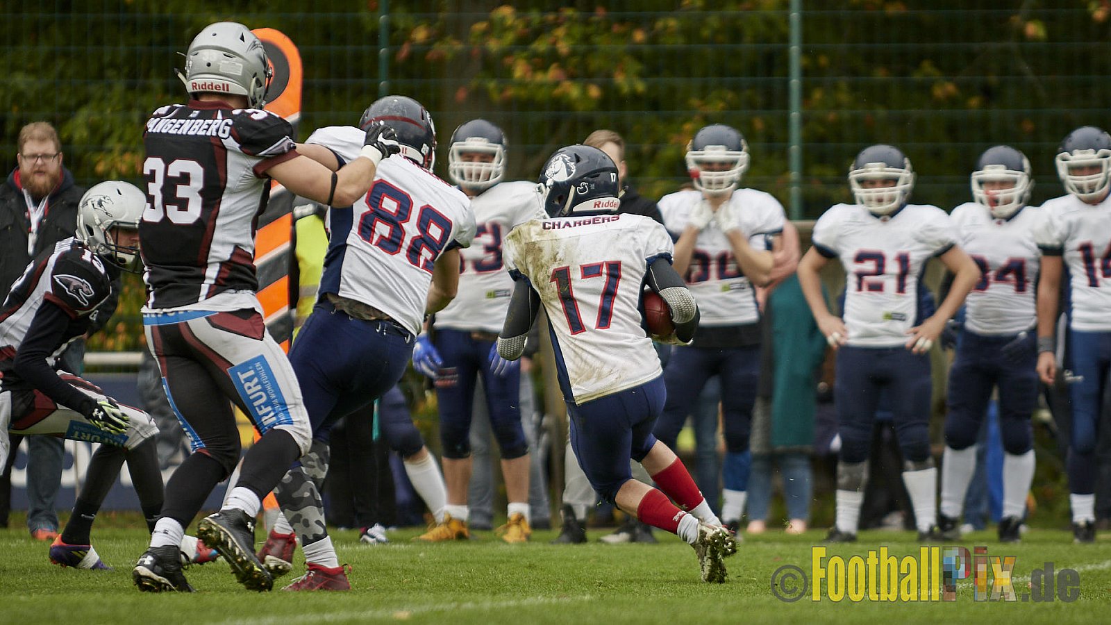 Wuppertal Greyhounds vs. Recklinghausen Chargers - 31.10.2017 VL NRW: Wuppertal Greyhounds vs. Recklinghausen Chargers (8:10)