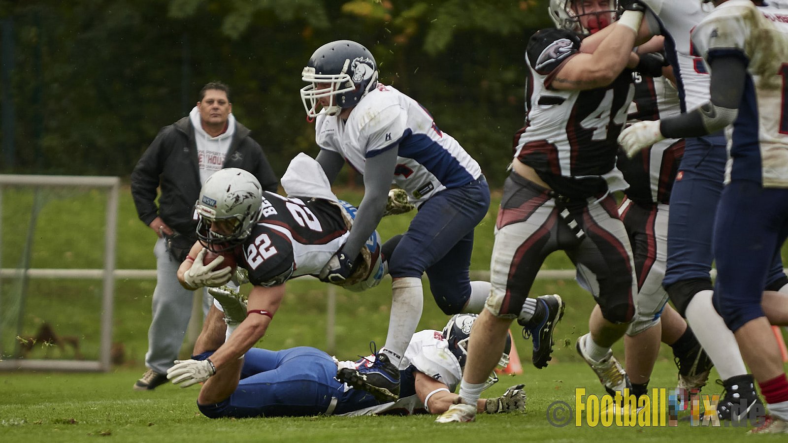 Wuppertal Greyhounds vs. Recklinghausen Chargers - 31.10.2017 VL NRW: Wuppertal Greyhounds vs. Recklinghausen Chargers (8:10)
