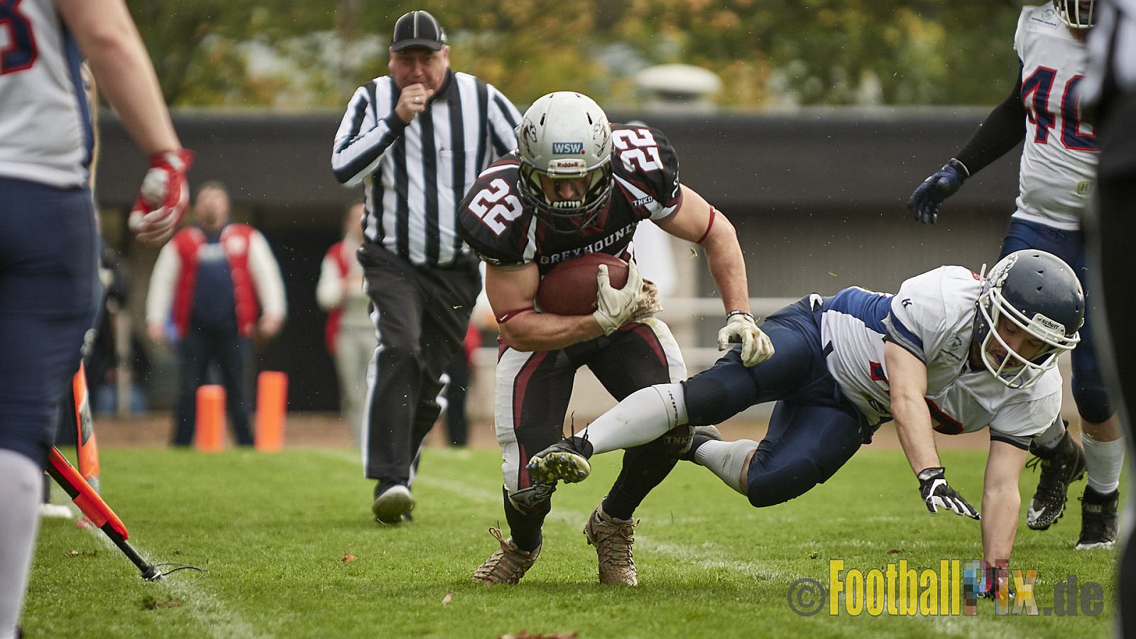 Wuppertal Greyhounds vs. Recklinghausen Chargers - 31.10.2017 VL NRW: Wuppertal Greyhounds vs. Recklinghausen Chargers (8:10)
