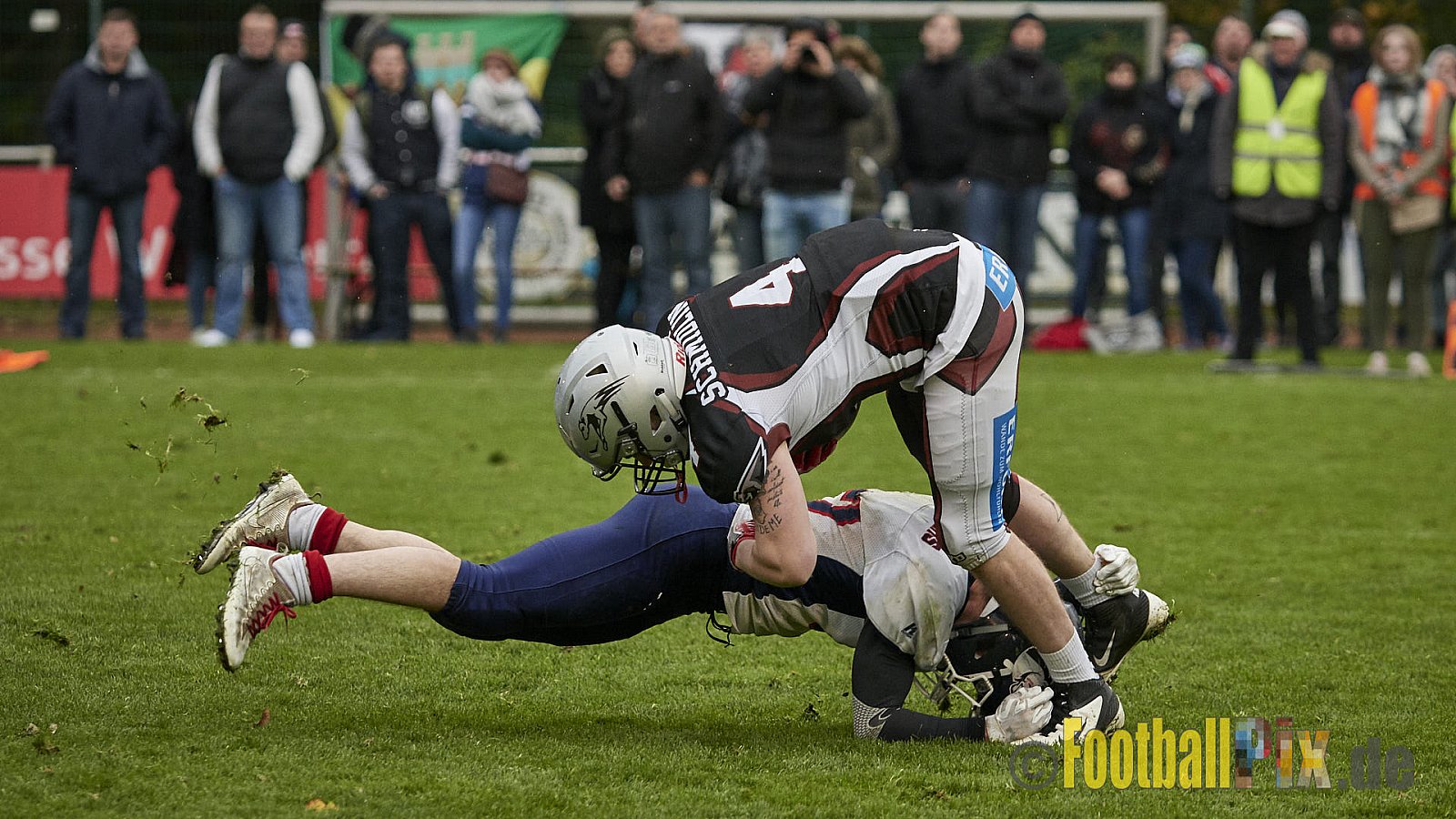 Wuppertal Greyhounds vs. Recklinghausen Chargers - 31.10.2017 VL NRW: Wuppertal Greyhounds vs. Recklinghausen Chargers (8:10)