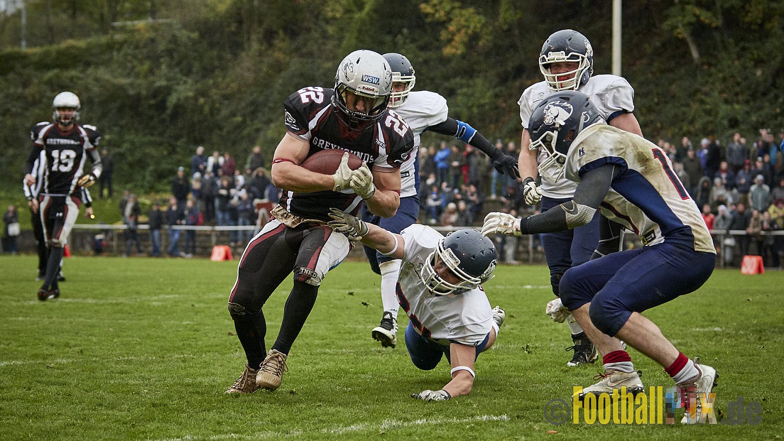 Wuppertal Greyhounds vs. Recklinghausen Chargers - 31.10.2017 VL NRW: Wuppertal Greyhounds vs. Recklinghausen Chargers (8:10)