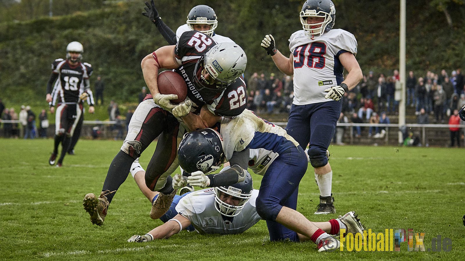 Wuppertal Greyhounds vs. Recklinghausen Chargers - 31.10.2017 VL NRW: Wuppertal Greyhounds vs. Recklinghausen Chargers (8:10)