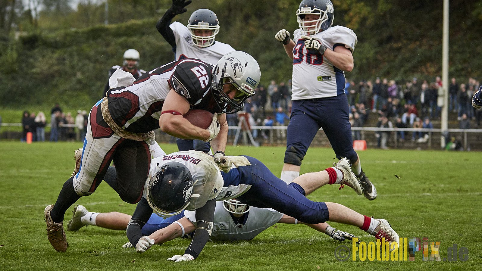 Wuppertal Greyhounds vs. Recklinghausen Chargers - 31.10.2017 VL NRW: Wuppertal Greyhounds vs. Recklinghausen Chargers (8:10)