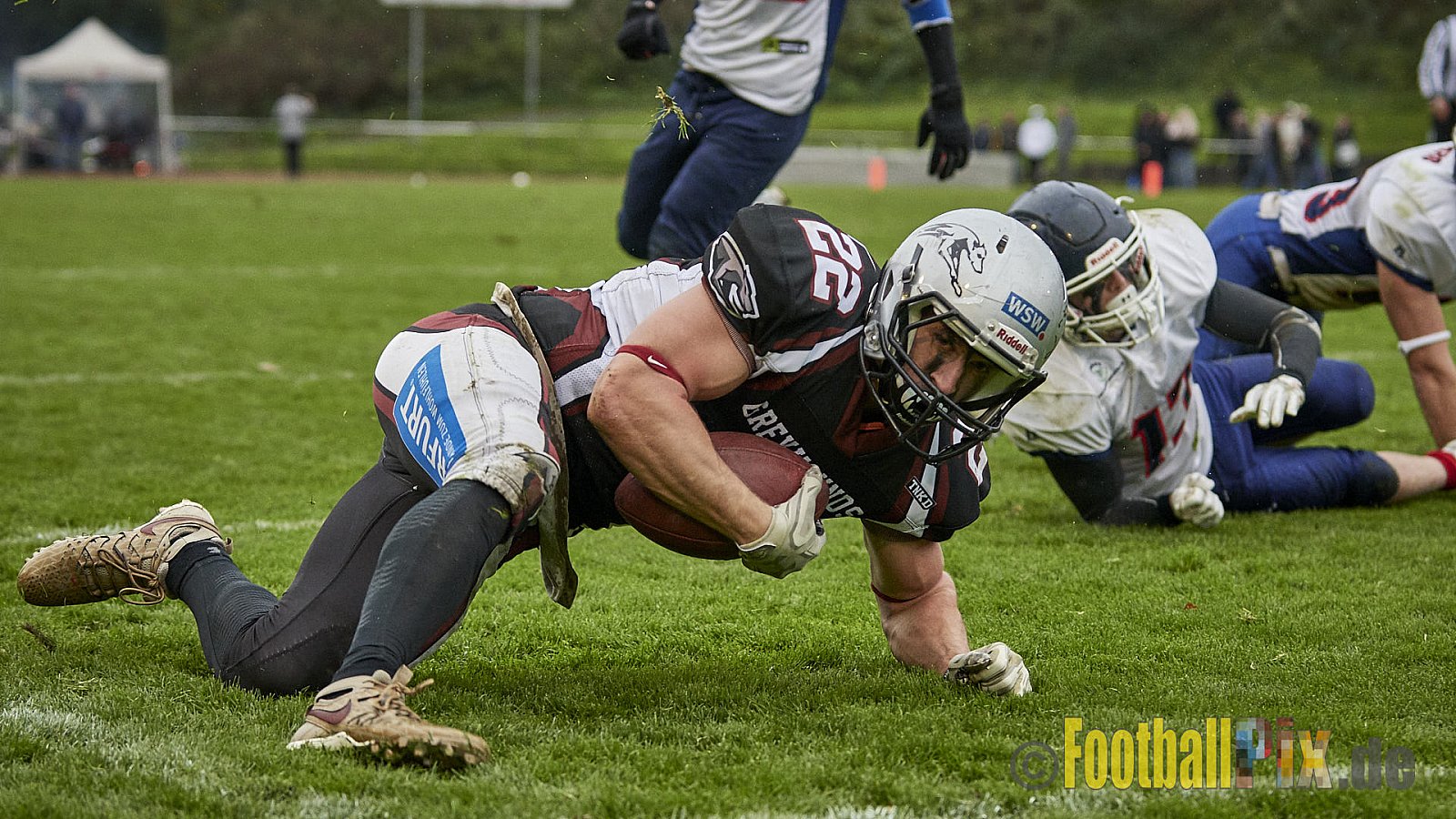 Wuppertal Greyhounds vs. Recklinghausen Chargers - 31.10.2017 VL NRW: Wuppertal Greyhounds vs. Recklinghausen Chargers (8:10)