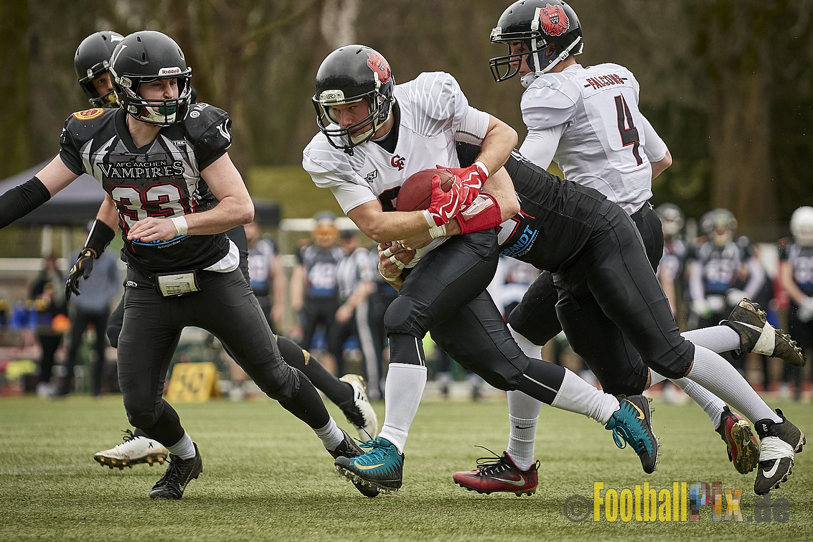 Cologne Falcons vs. Aachen Vampires - 10.03.2018 Pre-Season Game: Cologne Falcons vs. Aachen Vampires (31:10)