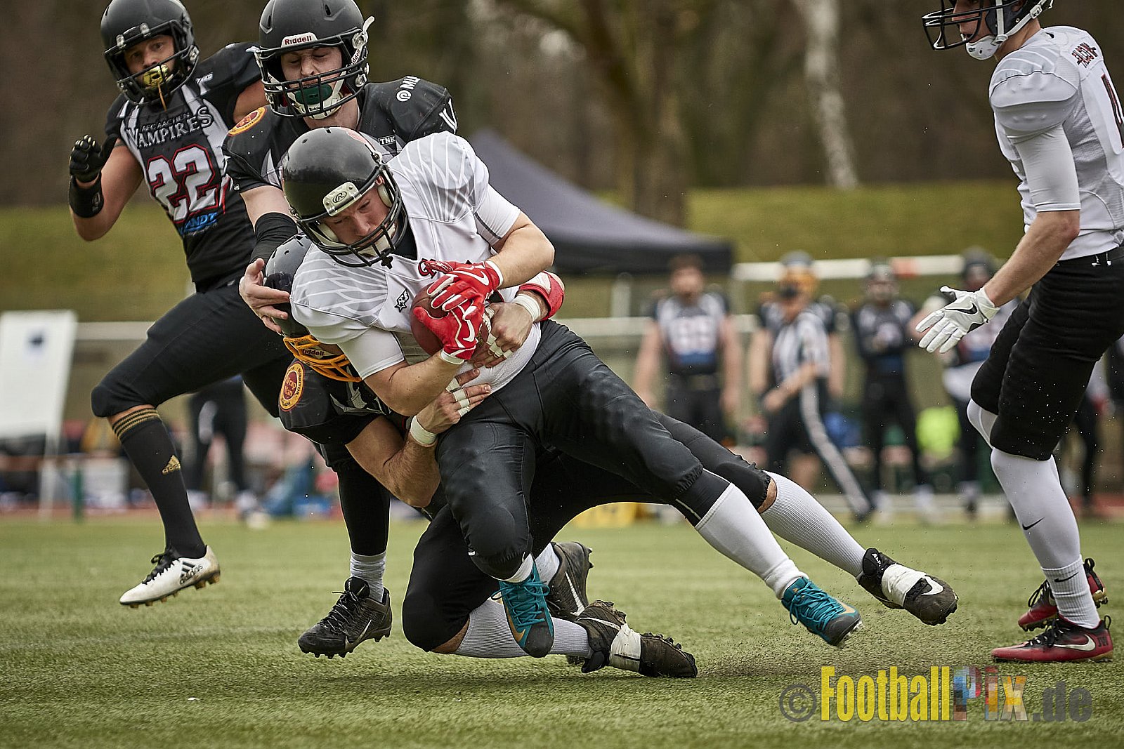 Cologne Falcons vs. Aachen Vampires - 10.03.2018 Pre-Season Game: Cologne Falcons vs. Aachen Vampires (31:10)