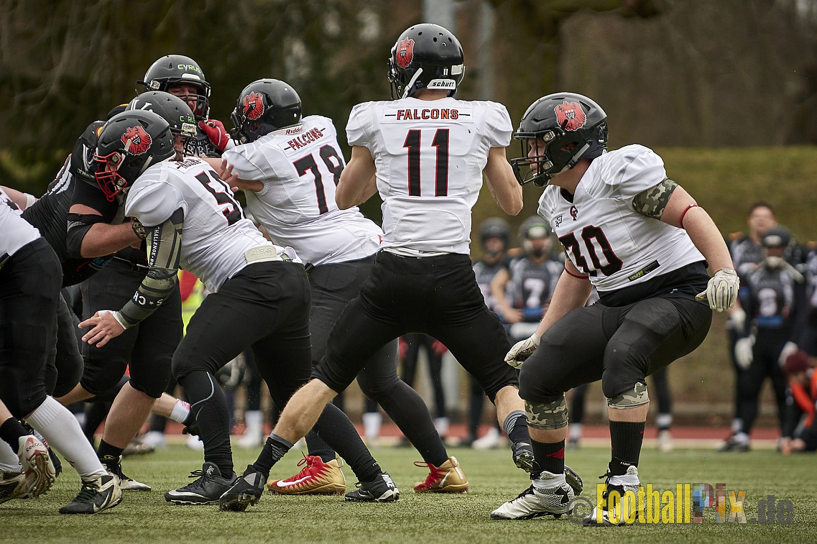 Cologne Falcons vs. Aachen Vampires - 10.03.2018 Pre-Season Game: Cologne Falcons vs. Aachen Vampires (31:10)
