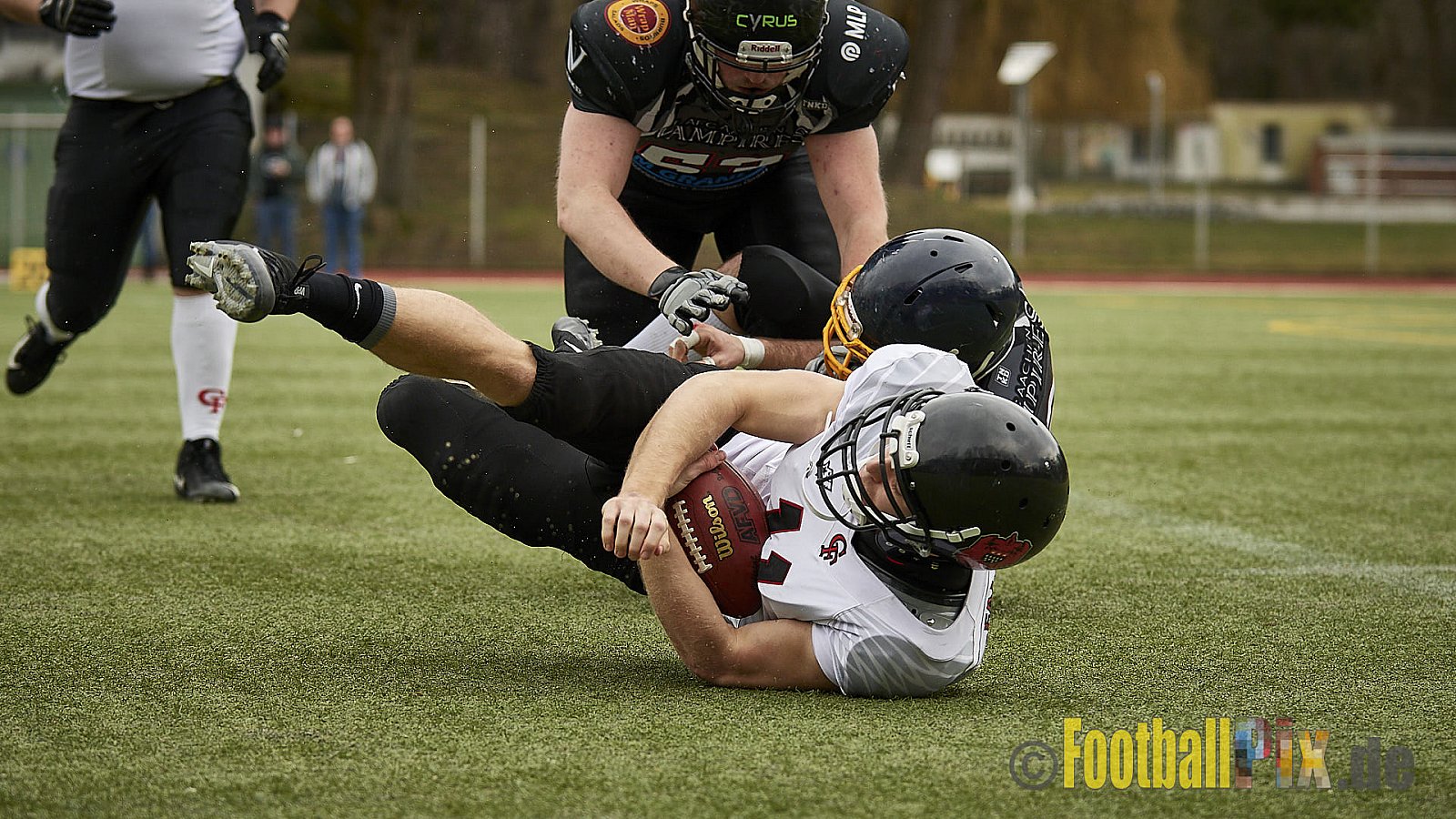 Cologne Falcons vs. Aachen Vampires - 10.03.2018 Pre-Season Game: Cologne Falcons vs. Aachen Vampires (31:10)