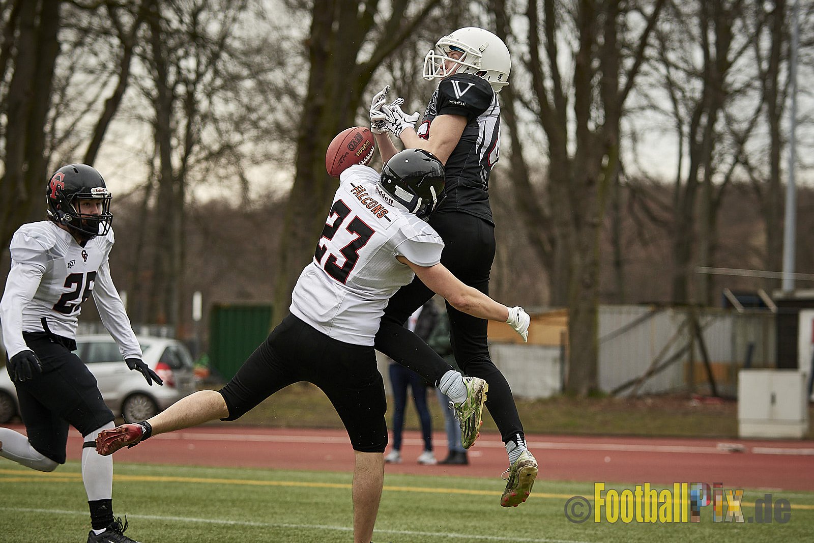 Cologne Falcons vs. Aachen Vampires - 10.03.2018 Pre-Season Game: Cologne Falcons vs. Aachen Vampires (31:10)