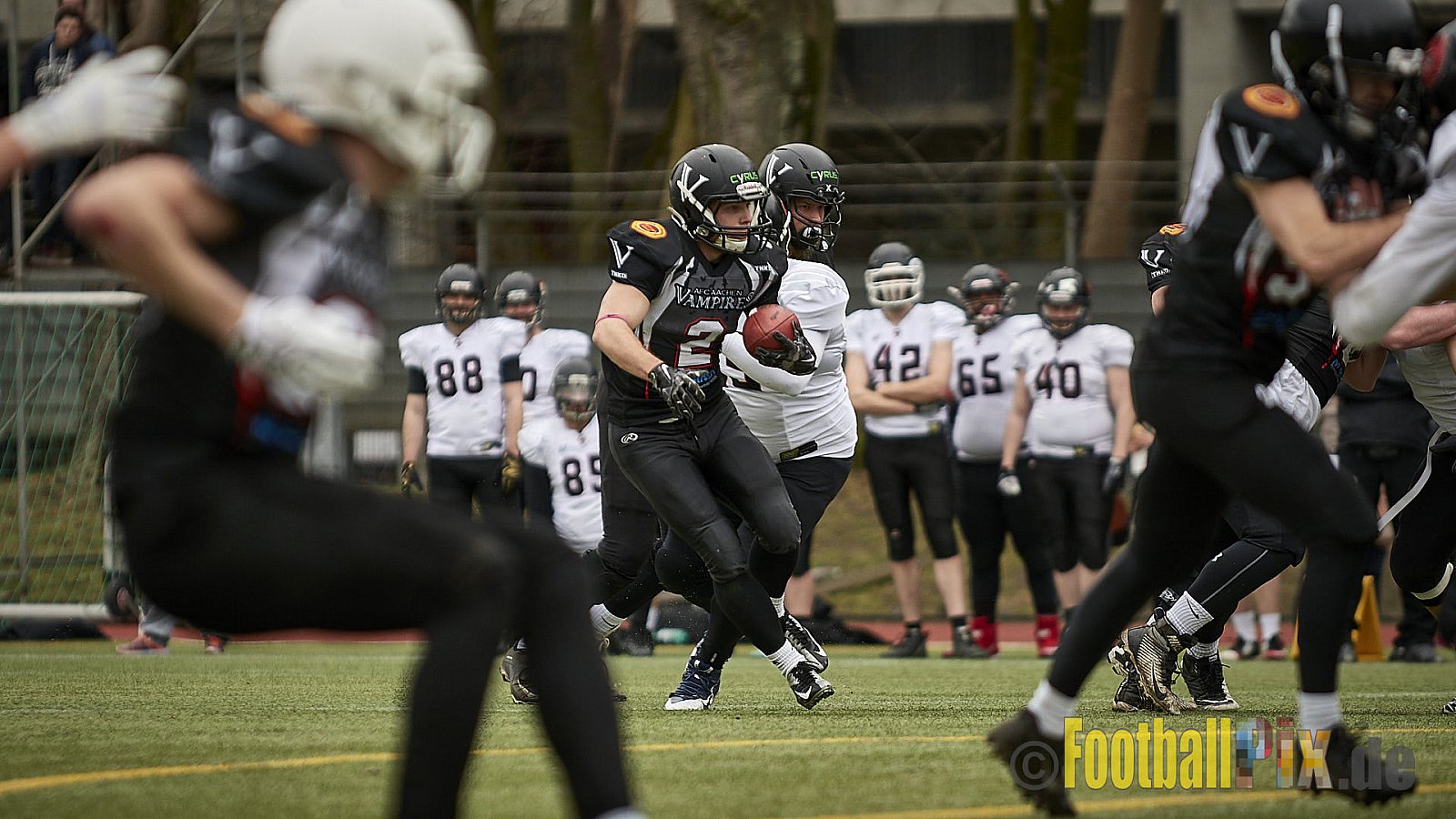 Cologne Falcons vs. Aachen Vampires - 10.03.2018 Pre-Season Game: Cologne Falcons vs. Aachen Vampires (31:10)