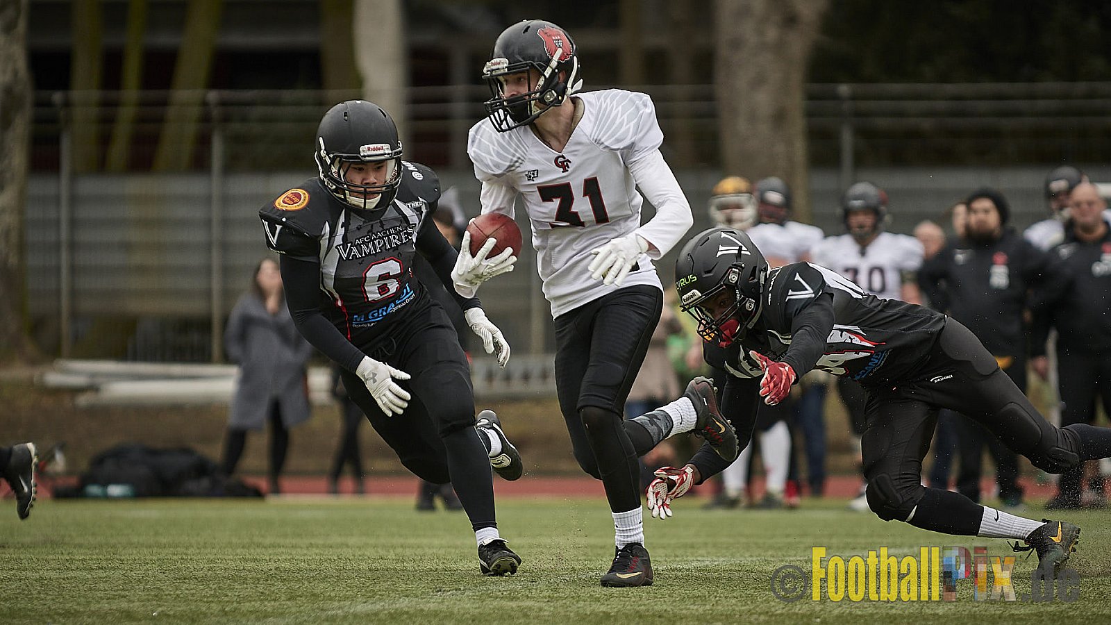 Cologne Falcons vs. Aachen Vampires - 10.03.2018 Pre-Season Game: Cologne Falcons vs. Aachen Vampires (31:10)