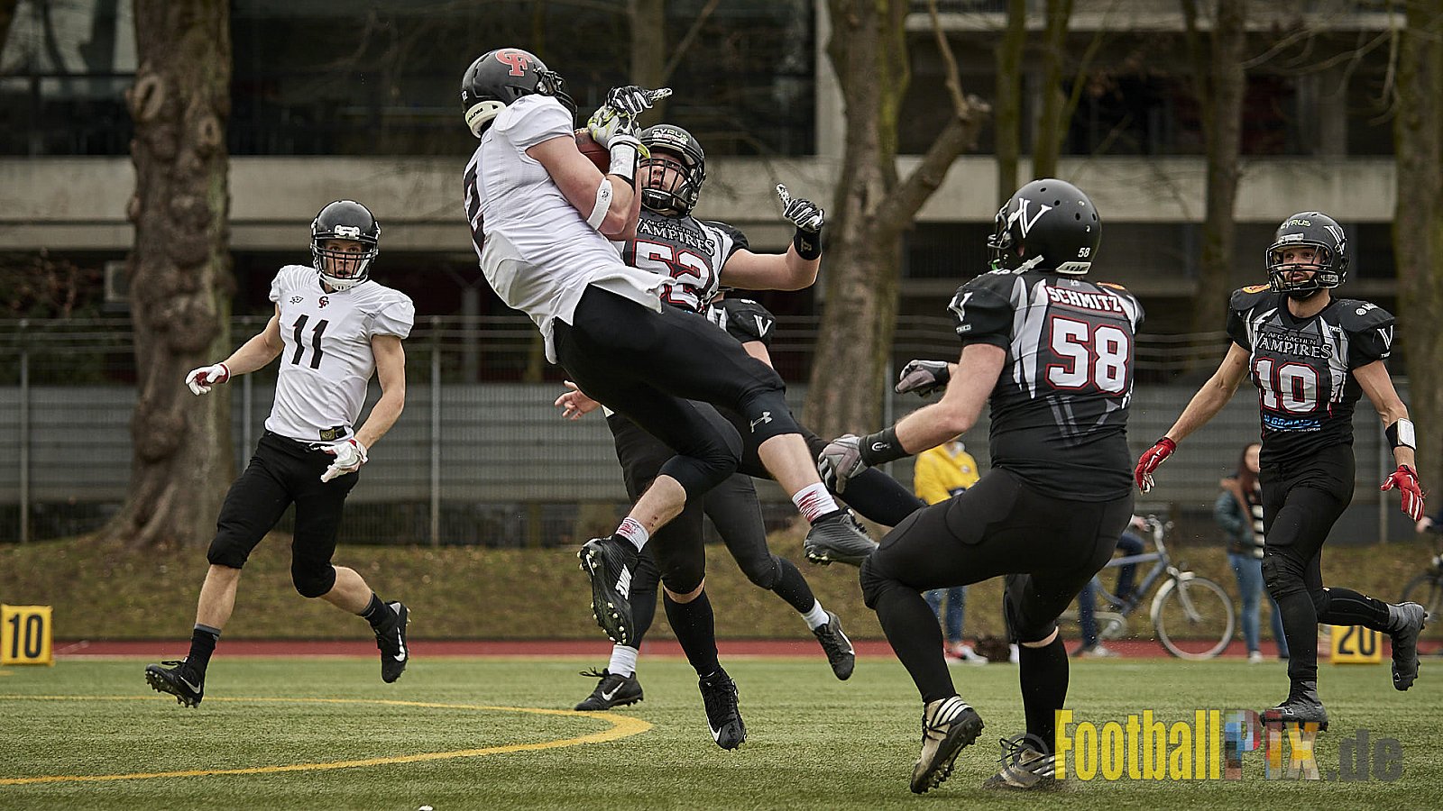 Cologne Falcons vs. Aachen Vampires - 10.03.2018 Pre-Season Game: Cologne Falcons vs. Aachen Vampires (31:10)