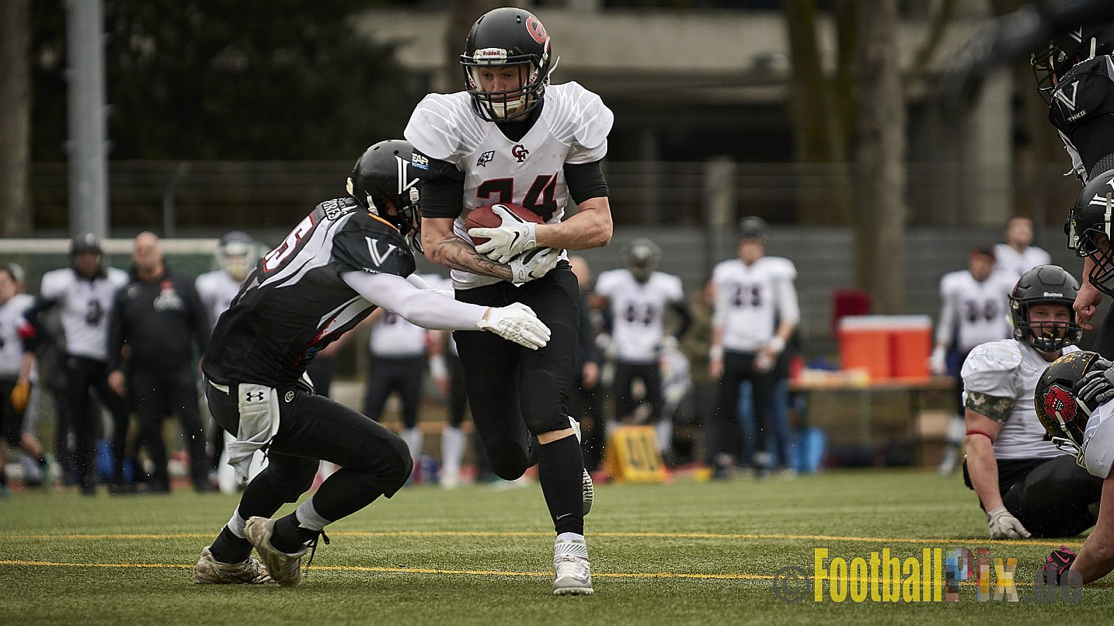 Cologne Falcons vs. Aachen Vampires - 10.03.2018 Pre-Season Game: Cologne Falcons vs. Aachen Vampires (31:10)