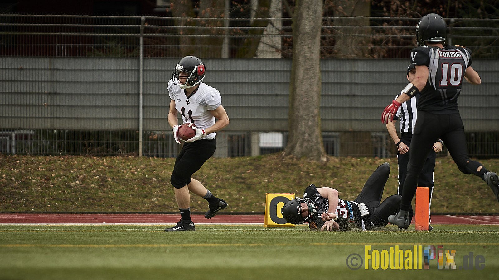 Cologne Falcons vs. Aachen Vampires - 10.03.2018 Pre-Season Game: Cologne Falcons vs. Aachen Vampires (31:10)