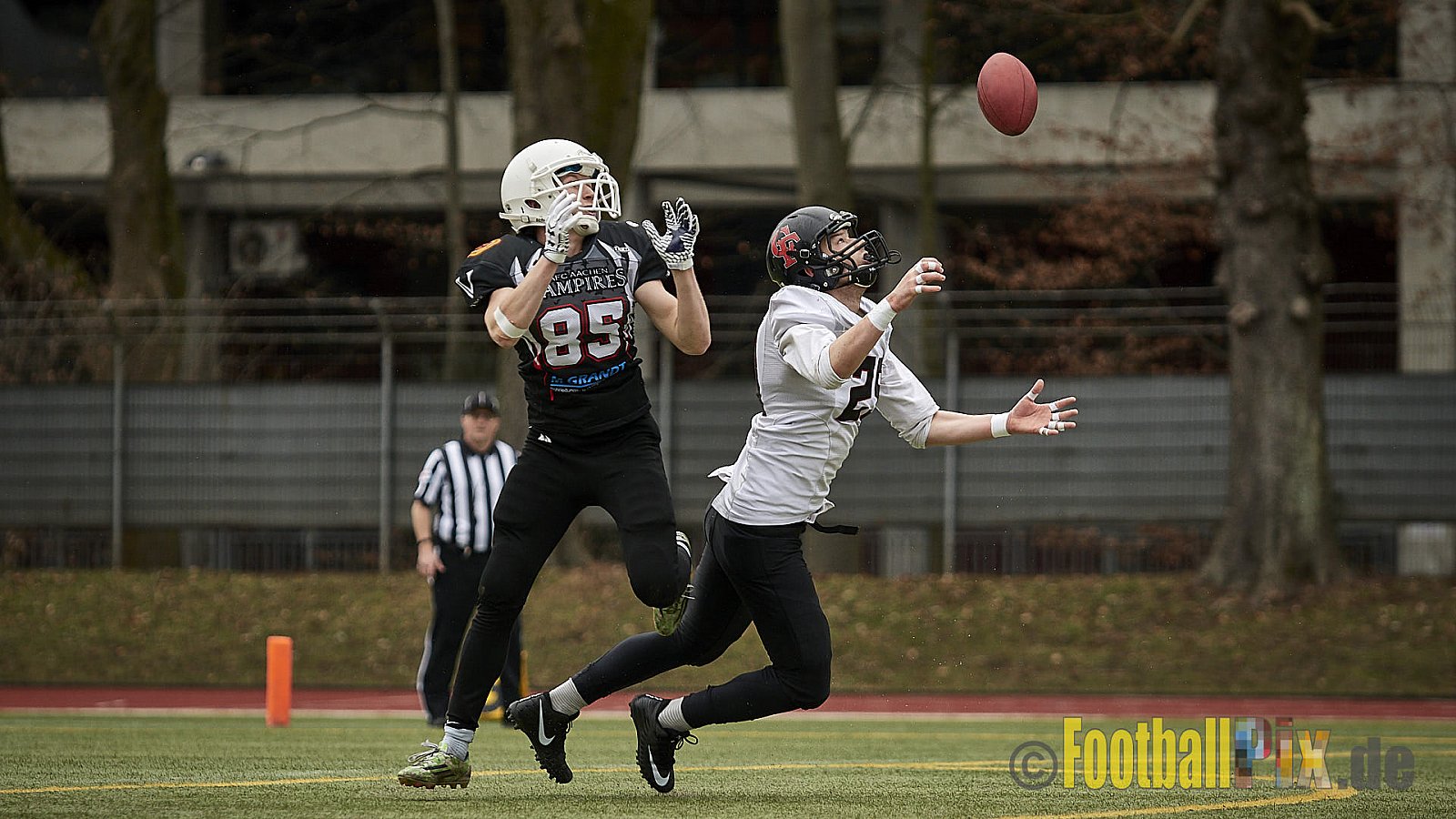 Cologne Falcons vs. Aachen Vampires - 10.03.2018 Pre-Season Game: Cologne Falcons vs. Aachen Vampires (31:10)