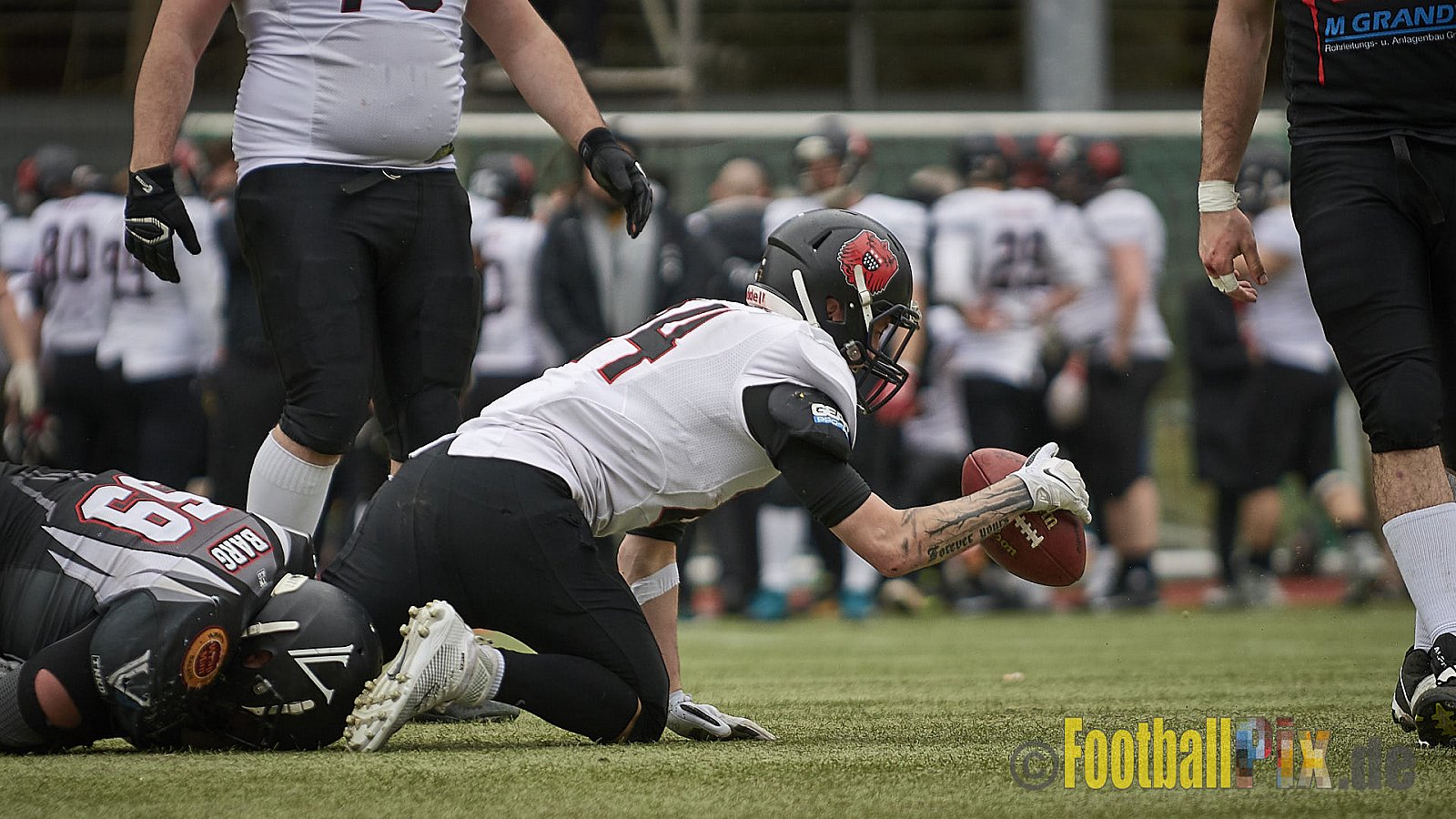 Cologne Falcons vs. Aachen Vampires - 10.03.2018 Pre-Season Game: Cologne Falcons vs. Aachen Vampires (31:10)
