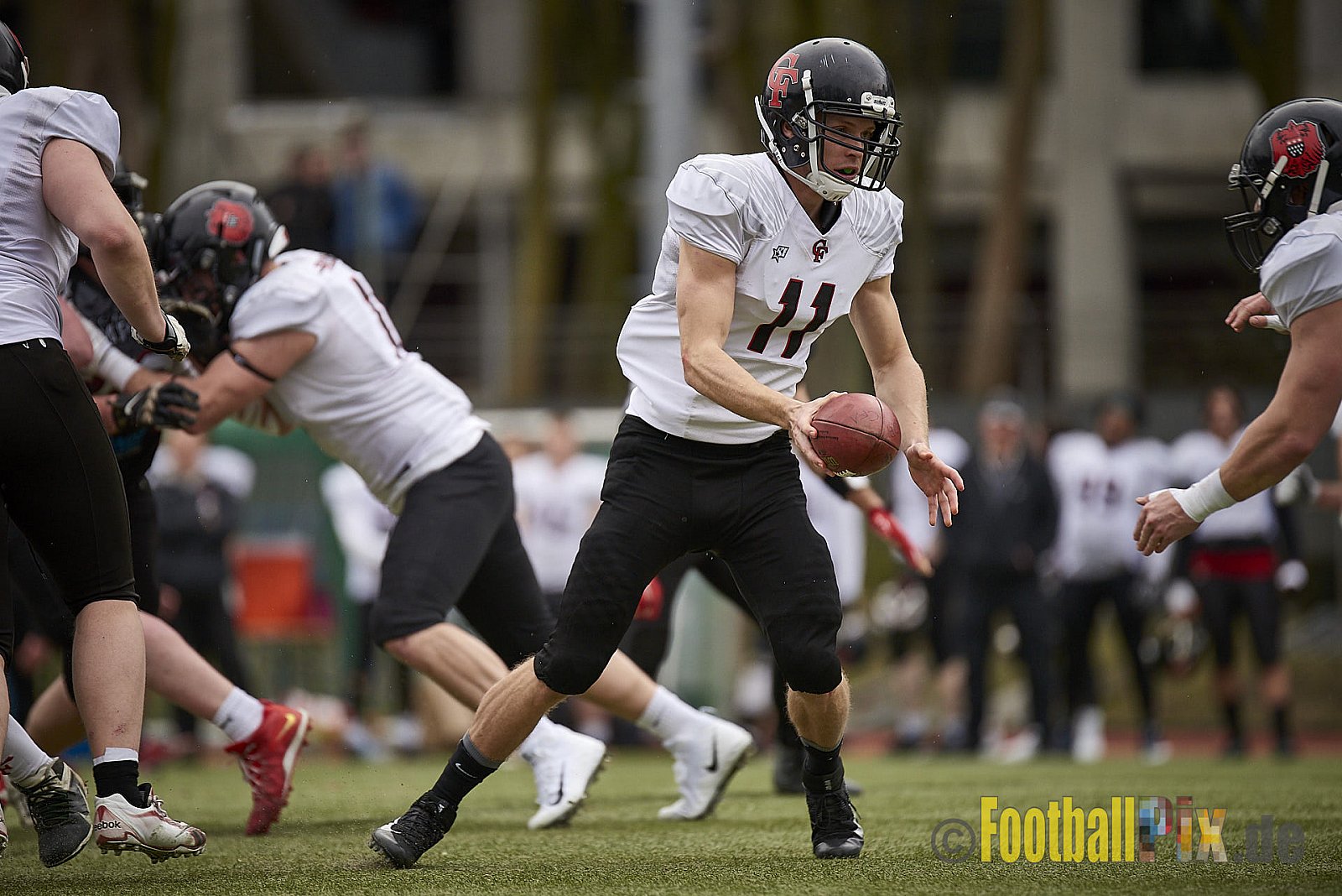 Cologne Falcons vs. Aachen Vampires - 10.03.2018 Pre-Season Game: Cologne Falcons vs. Aachen Vampires (31:10)