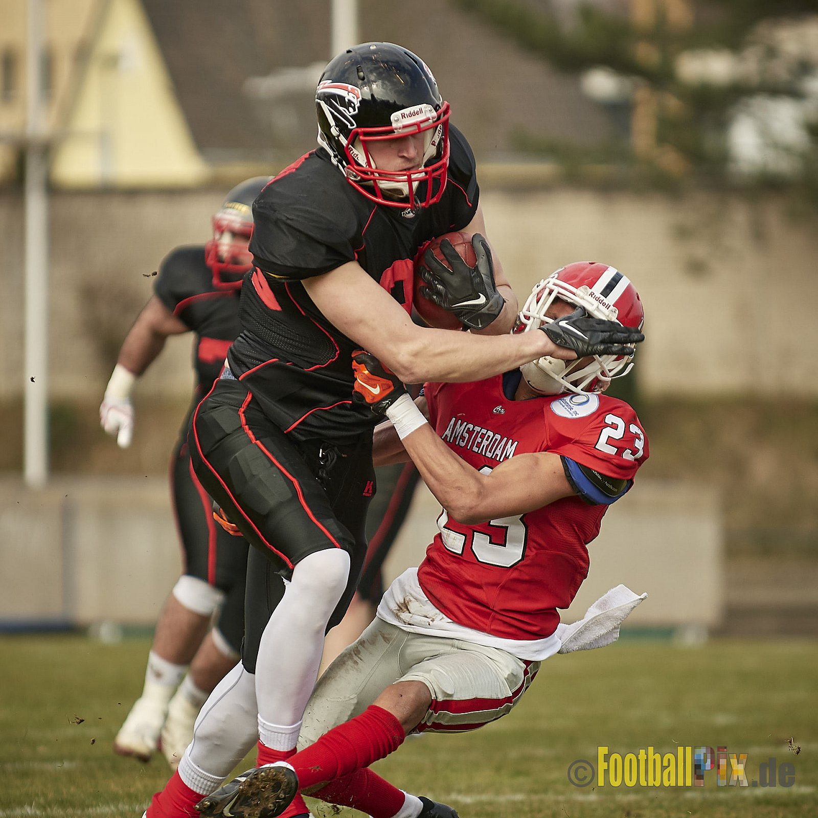 Düsseldorf Panther vs. Amsterdam Crusaders  - 25.03.2018 Pre-Season Game: Düsseldorf Panther vs. Amsterdam Crusaders (7:20)