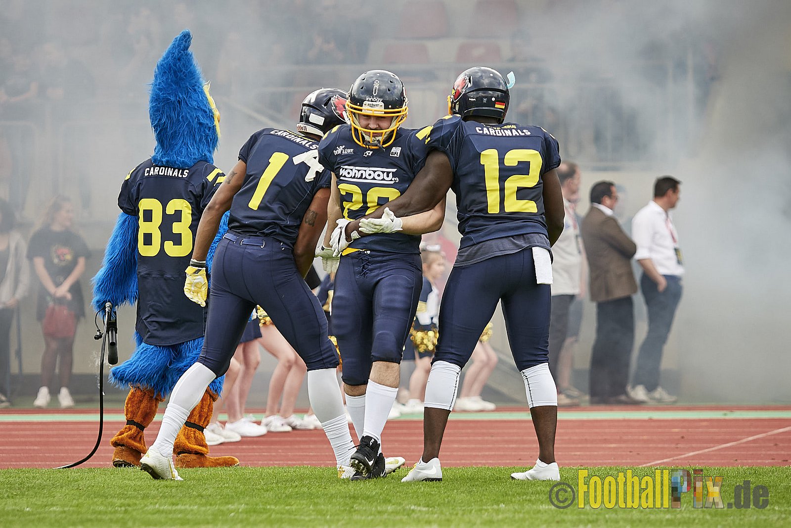 Essen Assindia Cardinals vs. Cologne Falcons - EssenAssindiaCardinalsVsCologneFalcons