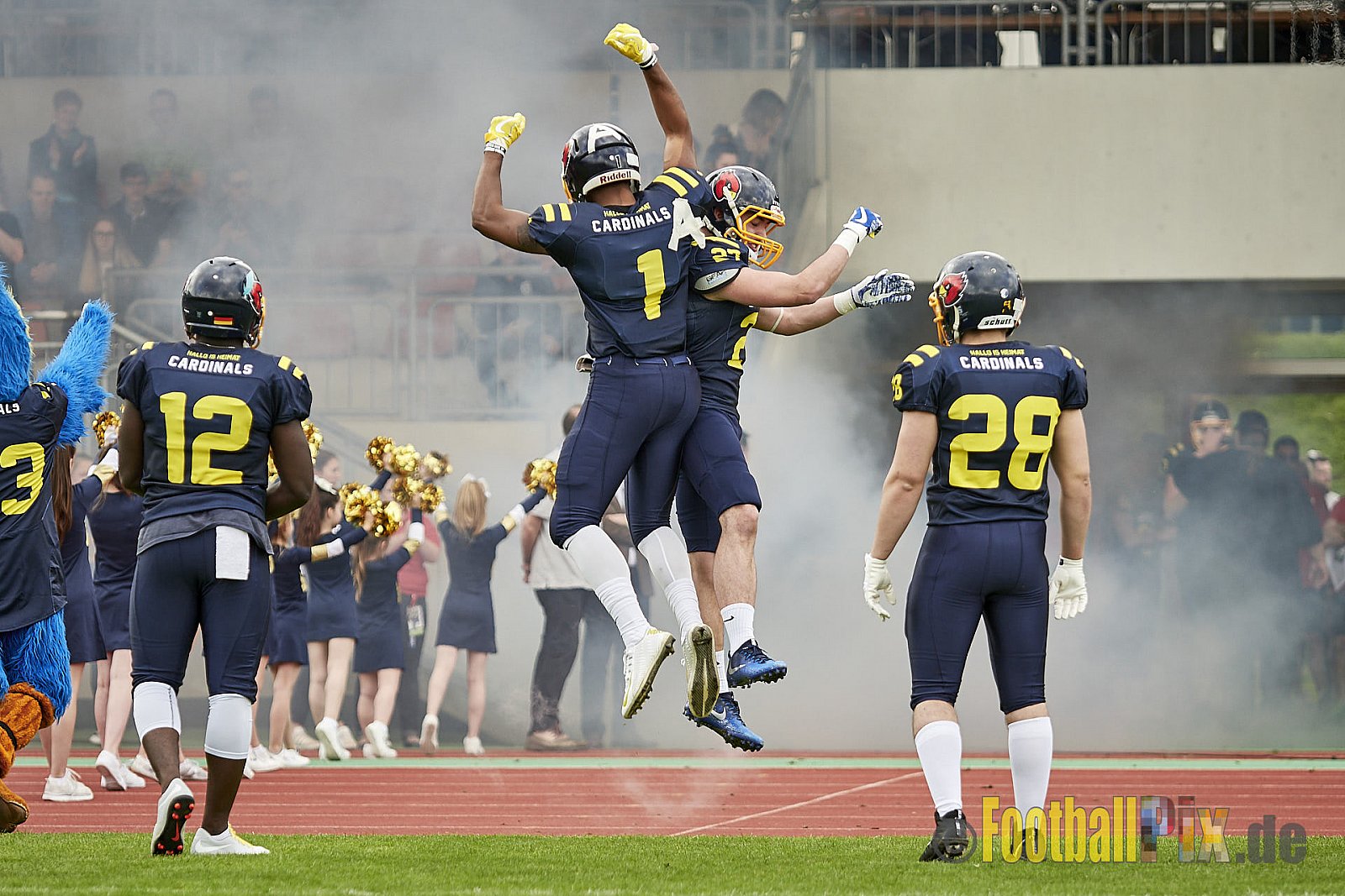 Essen Assindia Cardinals vs. Cologne Falcons - EssenAssindiaCardinalsVsCologneFalcons