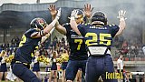 Essen Assindia Cardinals vs. Cologne Falcons - EssenAssindiaCardinalsVsCologneFalcons