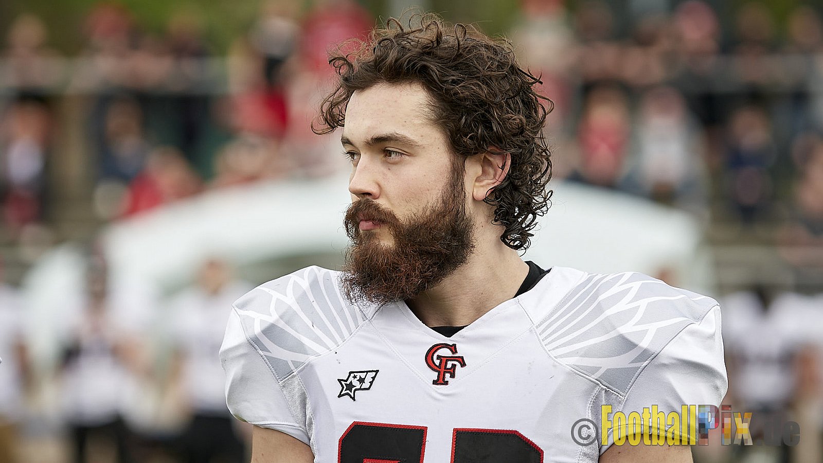 Essen Assindia Cardinals vs. Cologne Falcons - EssenAssindiaCardinalsVsCologneFalcons