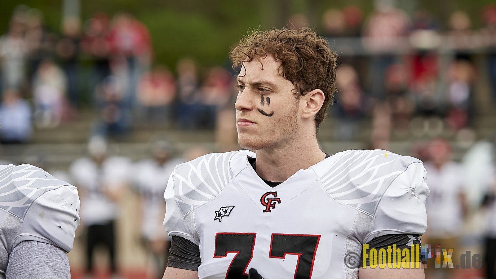 Essen Assindia Cardinals vs. Cologne Falcons - EssenAssindiaCardinalsVsCologneFalcons