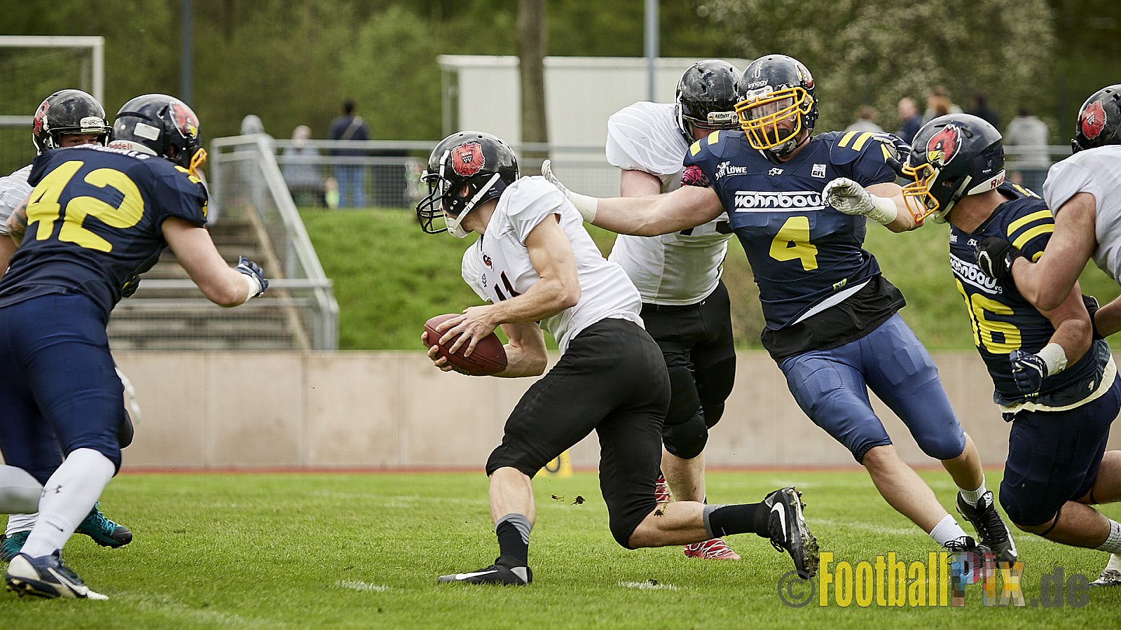 Essen Assindia Cardinals vs. Cologne Falcons - EssenAssindiaCardinalsVsCologneFalcons