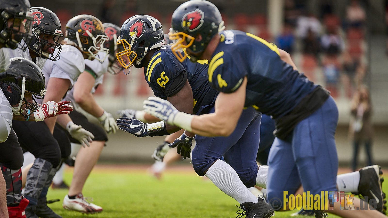 Essen Assindia Cardinals vs. Cologne Falcons - EssenAssindiaCardinalsVsCologneFalcons