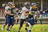 Essen Assindia Cardinals vs. Cologne Falcons - EssenAssindiaCardinalsVsCologneFalcons