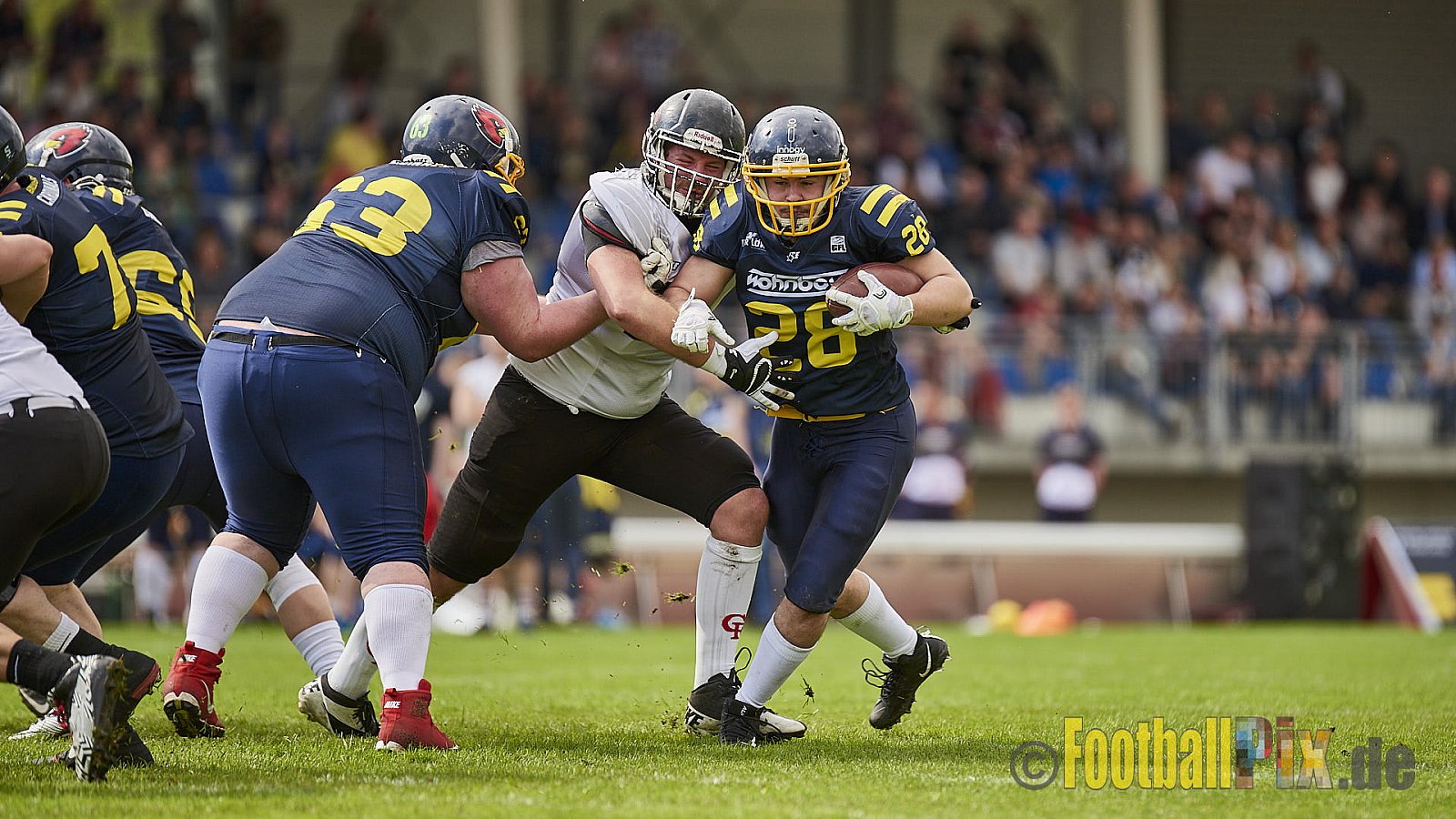 Essen Assindia Cardinals vs. Cologne Falcons - EssenAssindiaCardinalsVsCologneFalcons