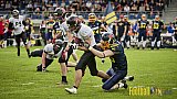 Essen Assindia Cardinals vs. Cologne Falcons - EssenAssindiaCardinalsVsCologneFalcons