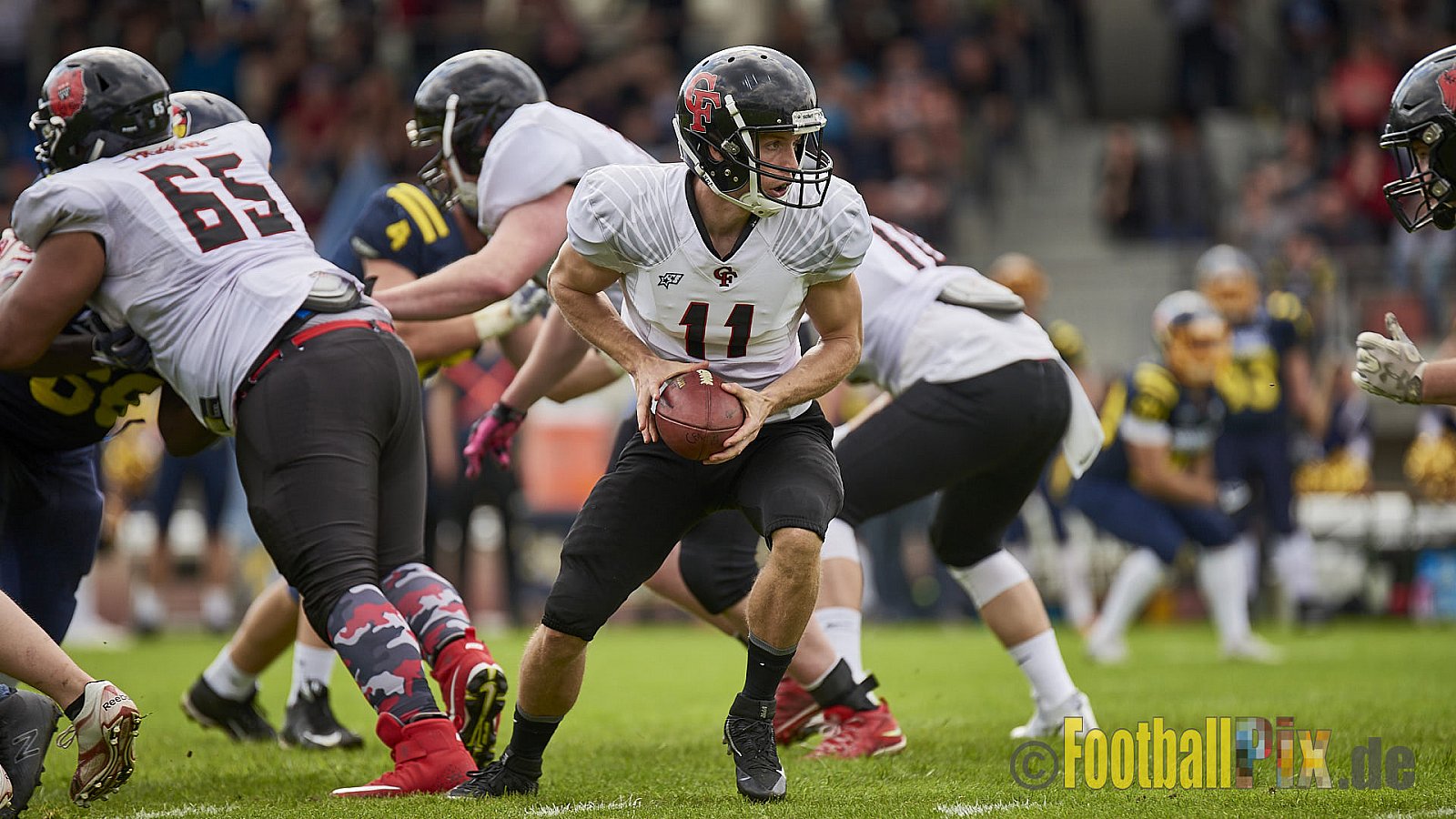 Essen Assindia Cardinals vs. Cologne Falcons - EssenAssindiaCardinalsVsCologneFalcons
