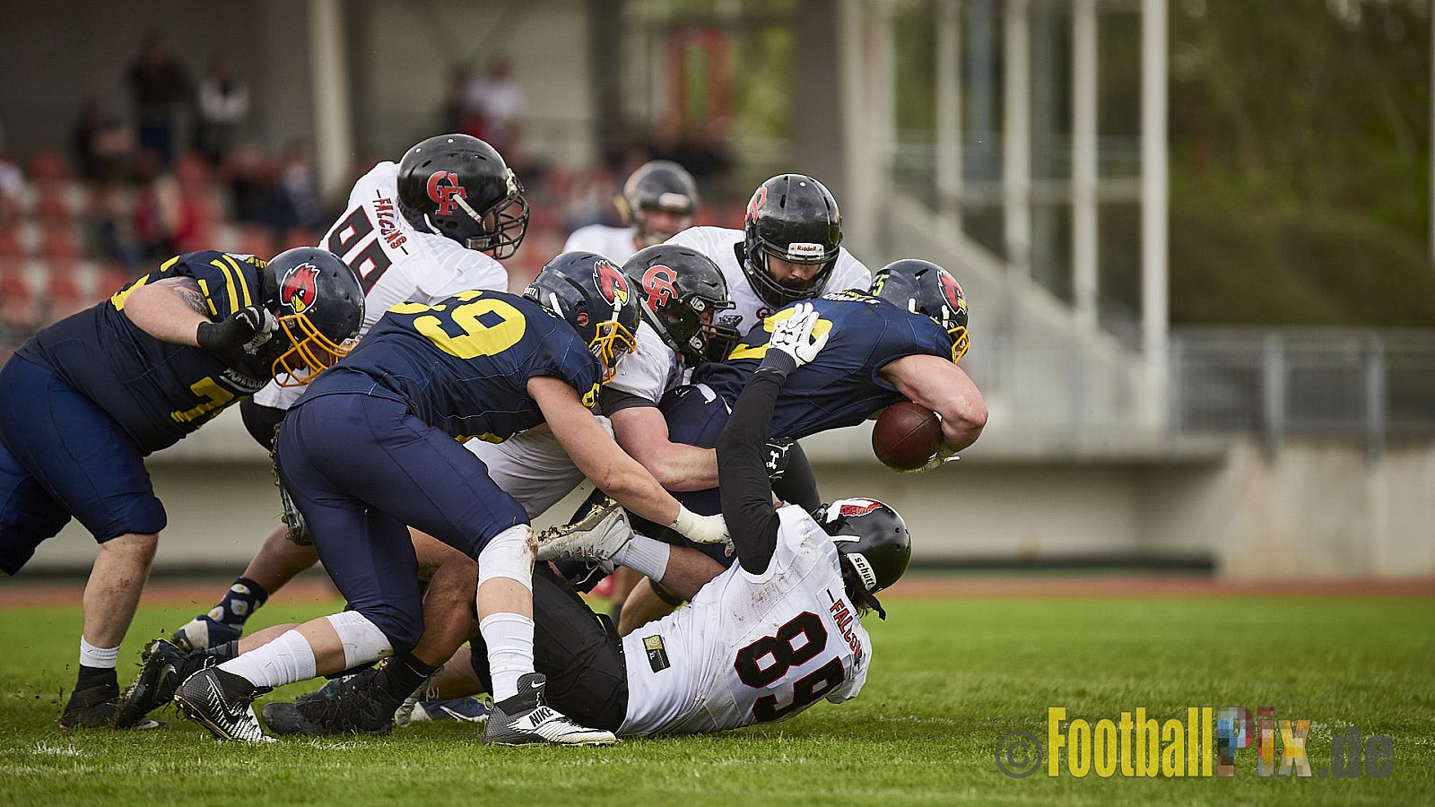 Essen Assindia Cardinals vs. Cologne Falcons - EssenAssindiaCardinalsVsCologneFalcons
