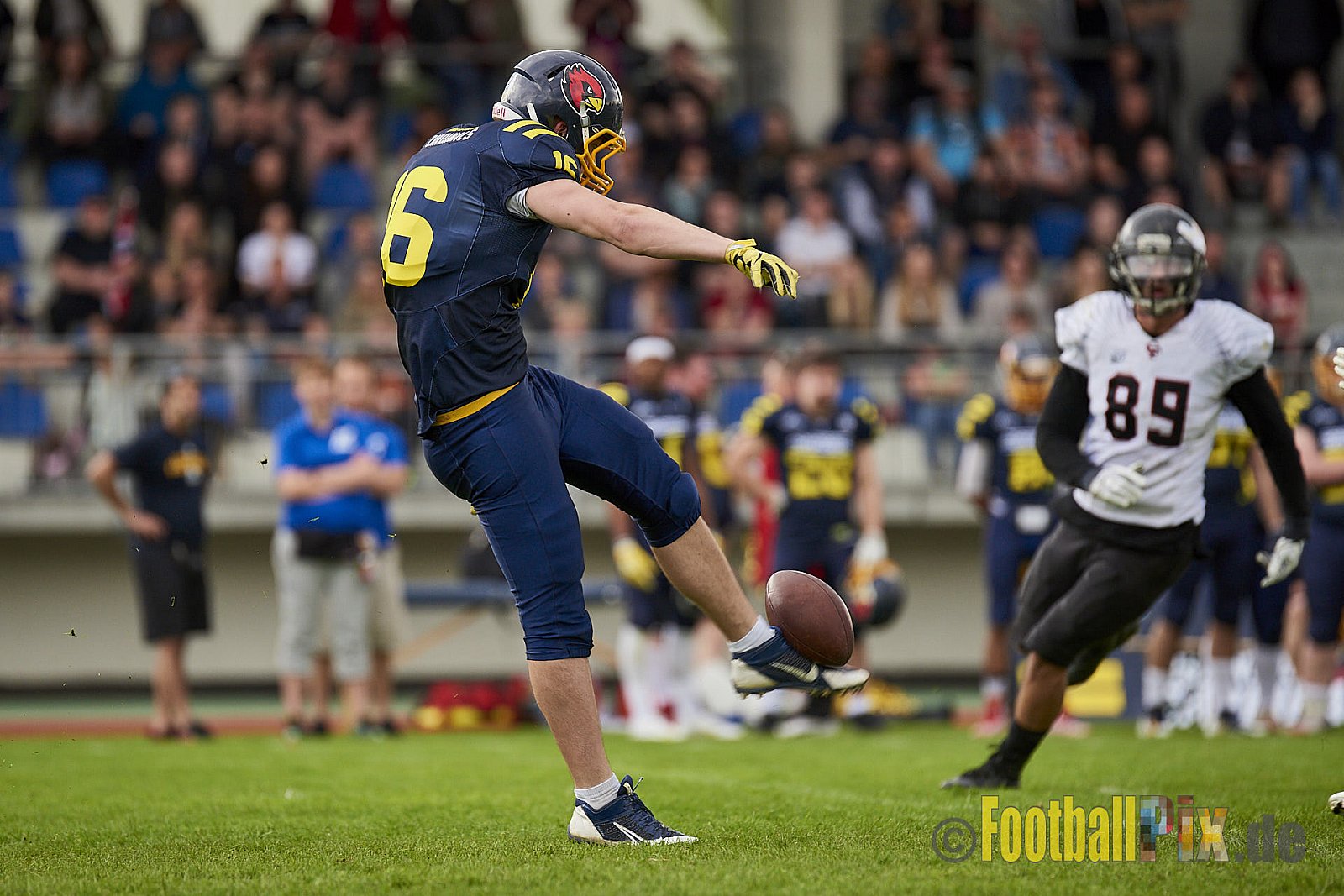 Essen Assindia Cardinals vs. Cologne Falcons - EssenAssindiaCardinalsVsCologneFalcons