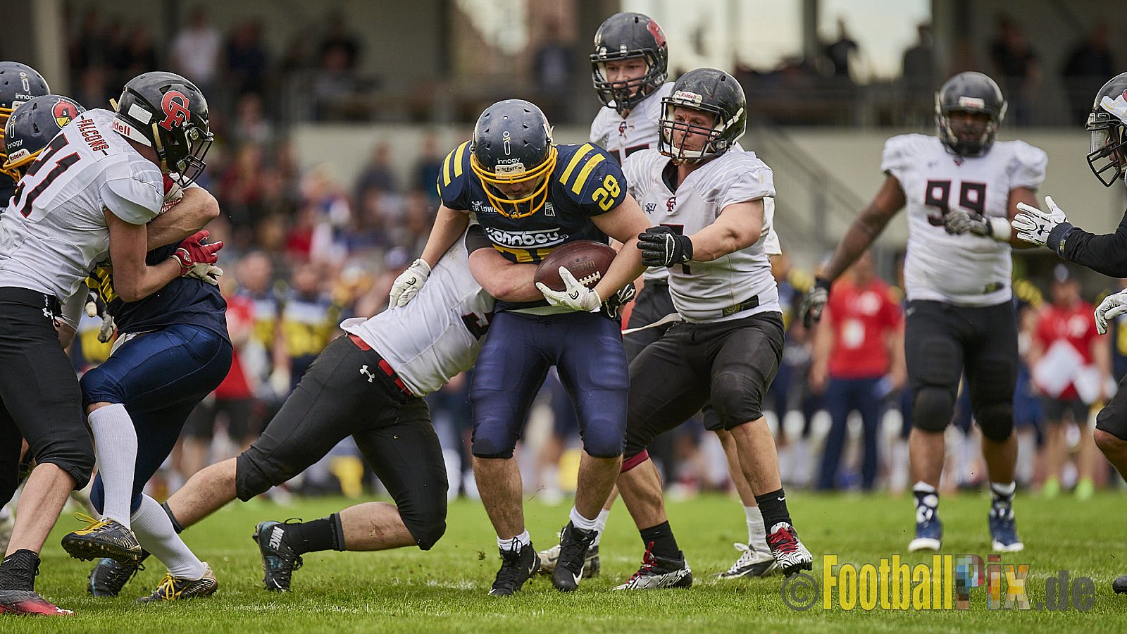 Essen Assindia Cardinals vs. Cologne Falcons - EssenAssindiaCardinalsVsCologneFalcons