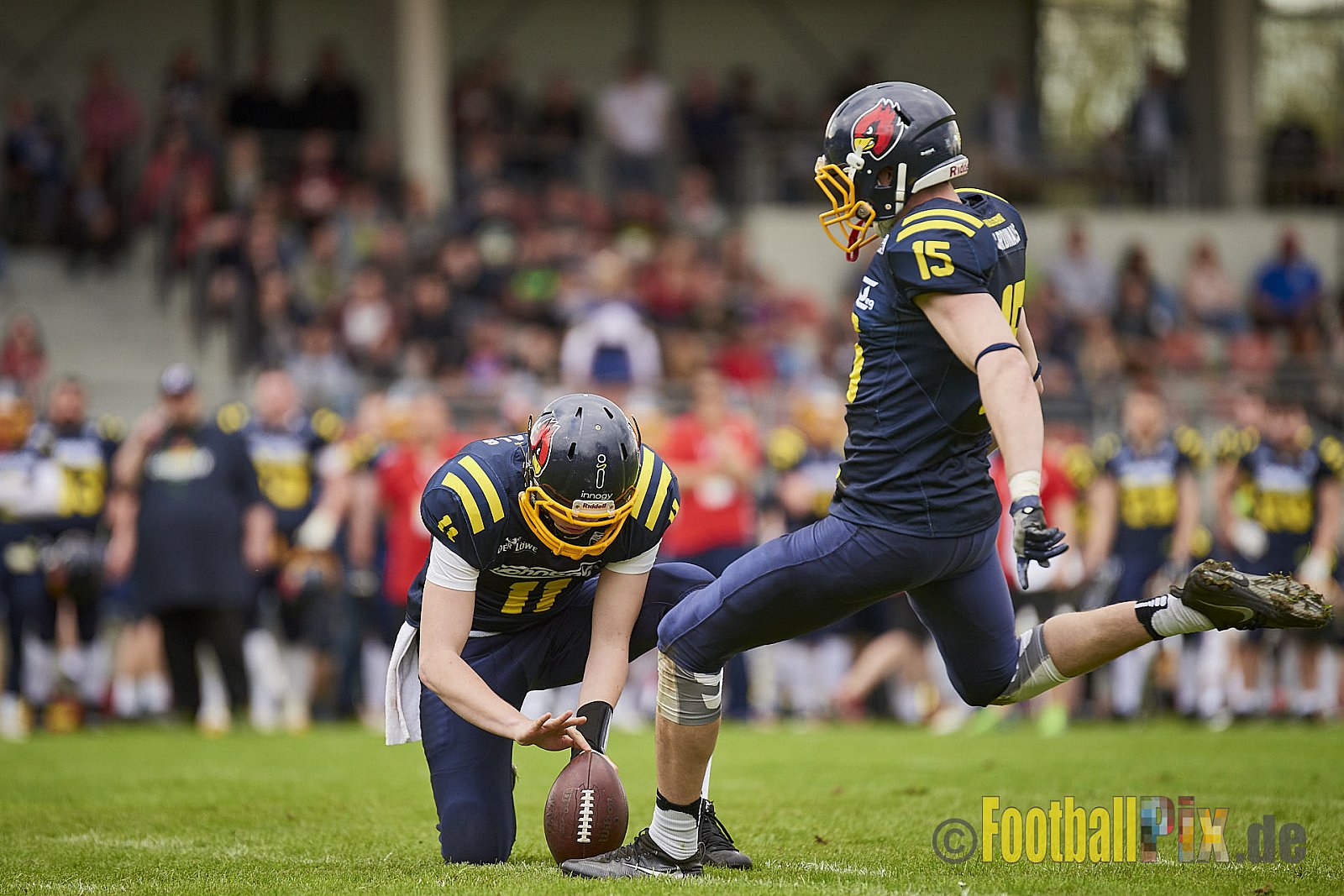 Essen Assindia Cardinals vs. Cologne Falcons - EssenAssindiaCardinalsVsCologneFalcons