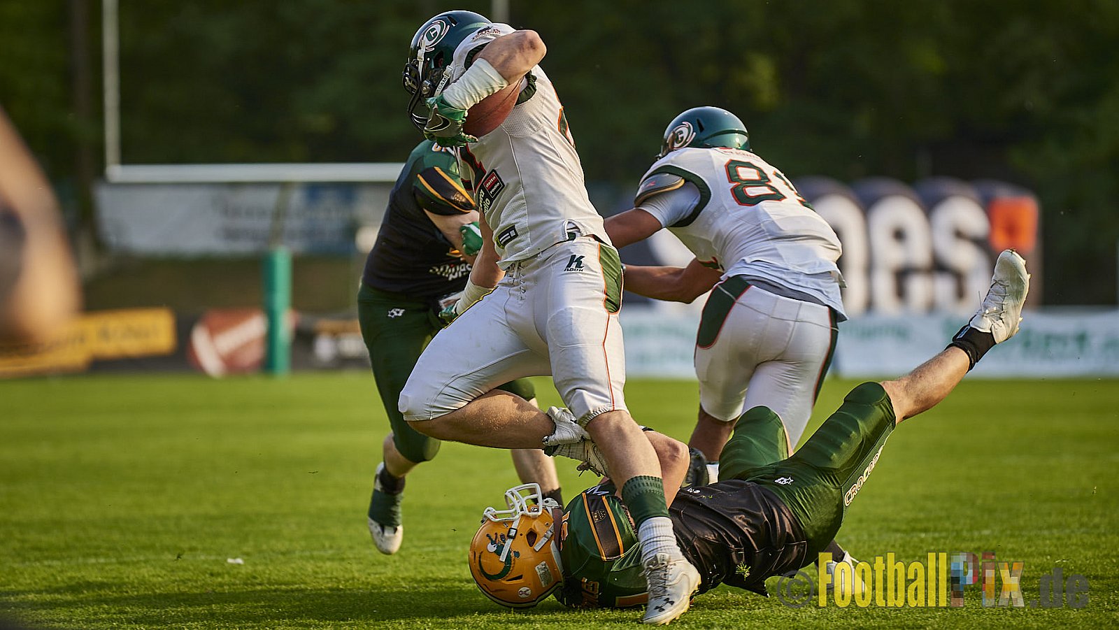 Cologne Crocodiles vs. Kiel Baltic Hurricanes  - 21.04.2018 GFL Nord: Cologne Crocodiles vs. Kiel Baltic Hurricanes (32:14)