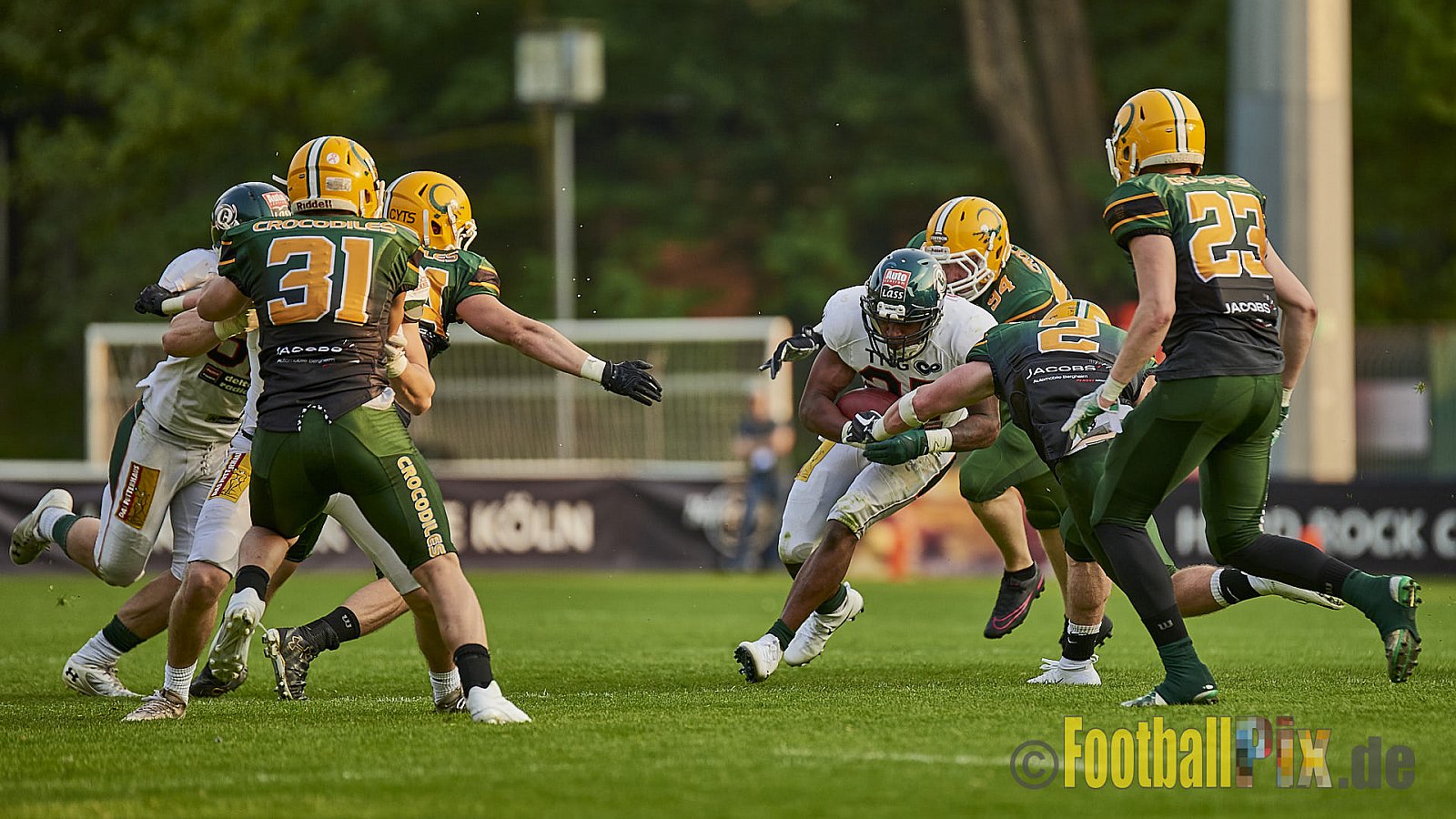 Cologne Crocodiles vs. Kiel Baltic Hurricanes  - 21.04.2018 GFL Nord: Cologne Crocodiles vs. Kiel Baltic Hurricanes (32:14)