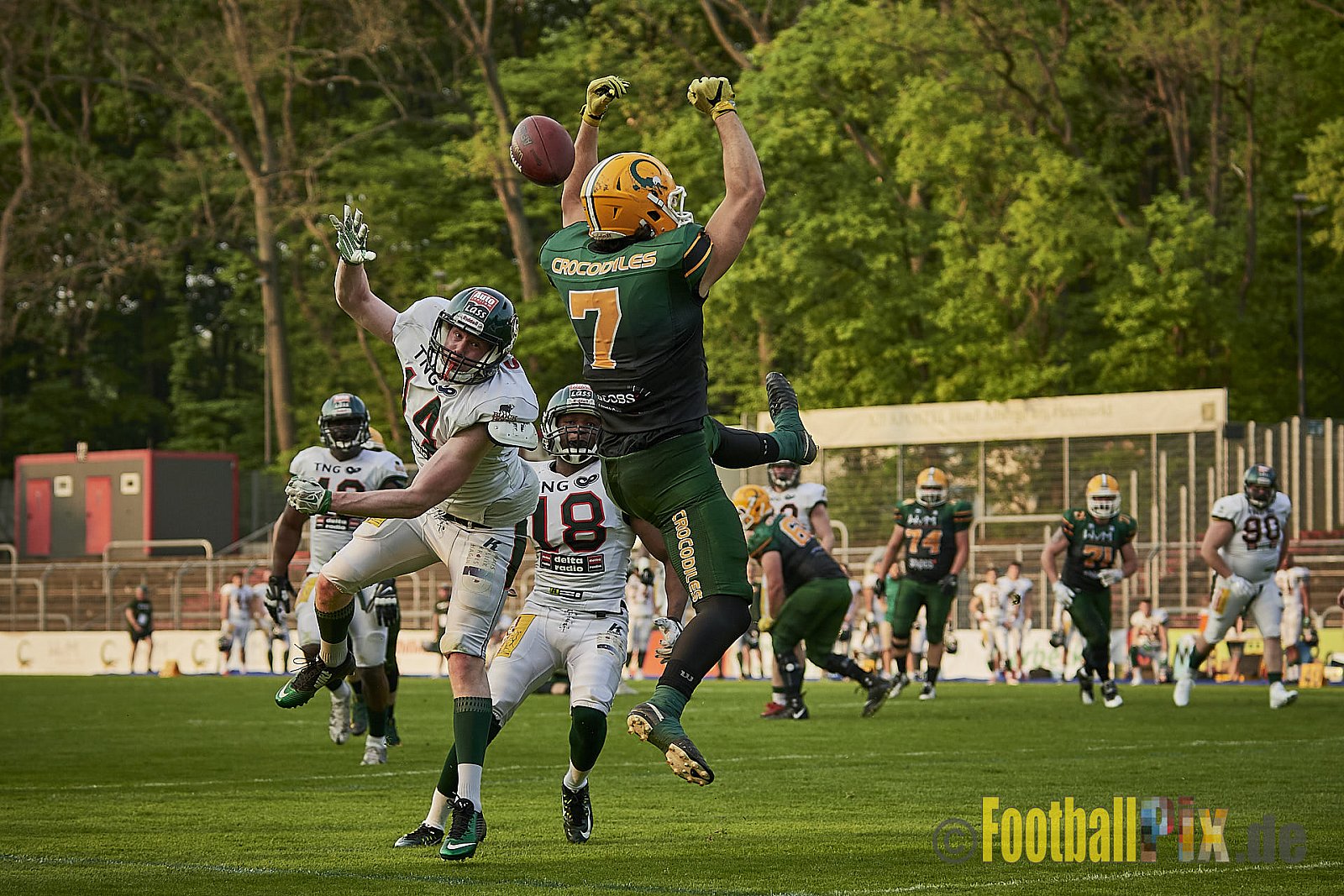 Cologne Crocodiles vs. Kiel Baltic Hurricanes  - 21.04.2018 GFL Nord: Cologne Crocodiles vs. Kiel Baltic Hurricanes (32:14)